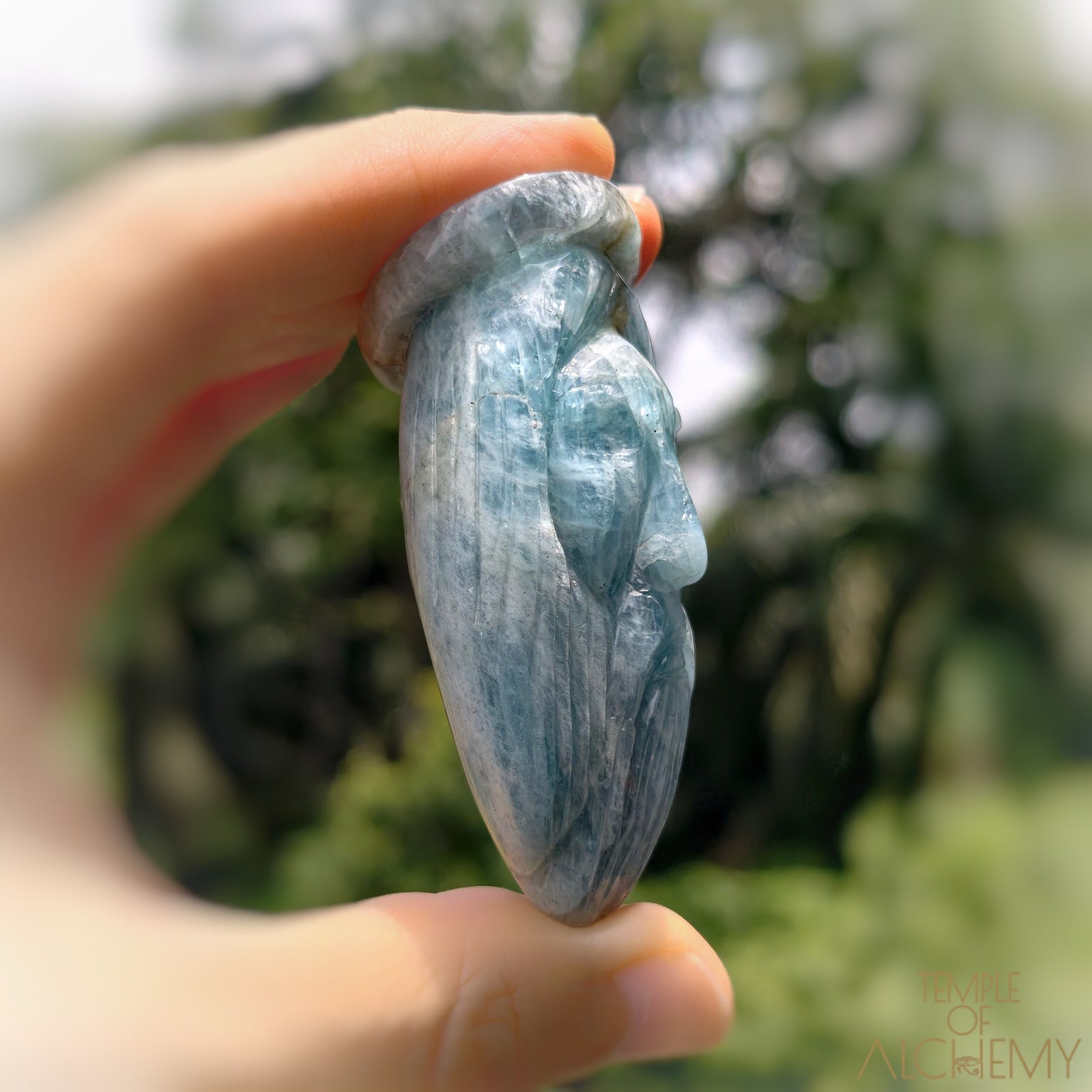 * Reserved C * Aquamarine