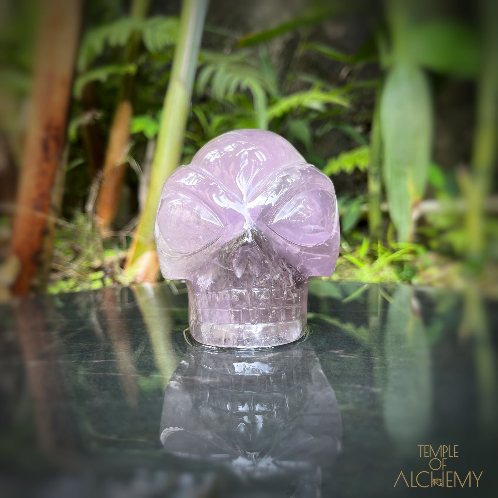 Phantom Amethyst
