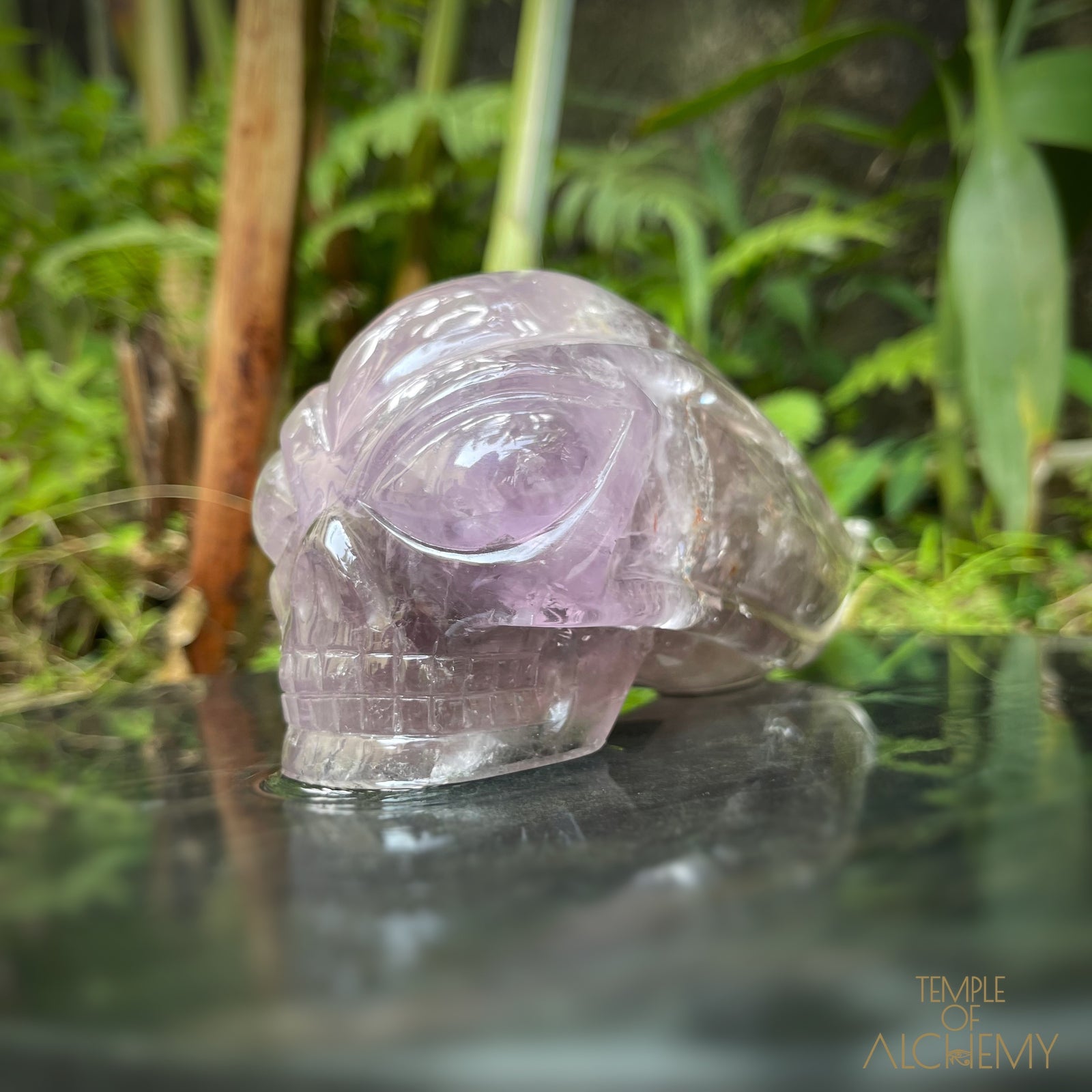 Phantom Amethyst