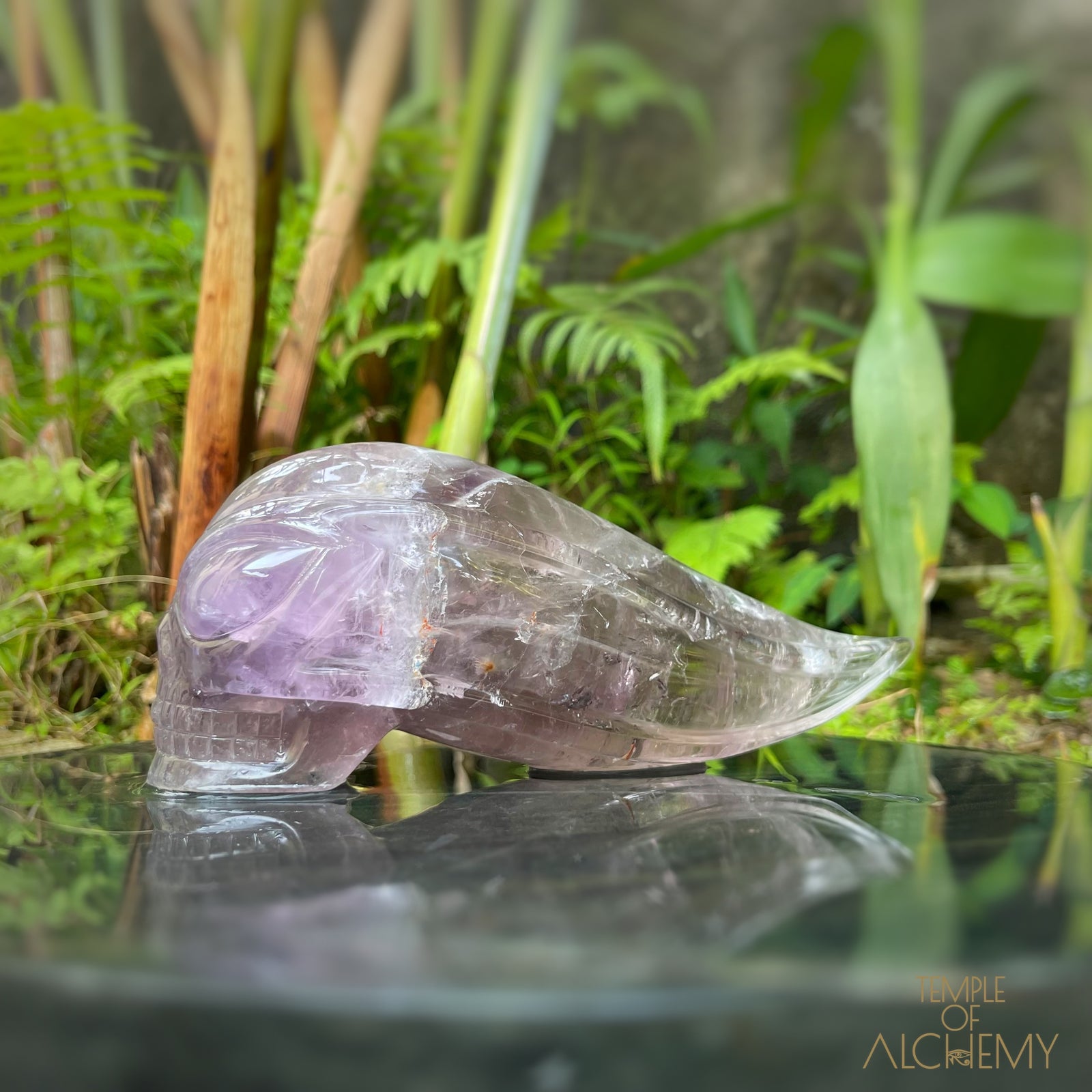 Phantom Amethyst