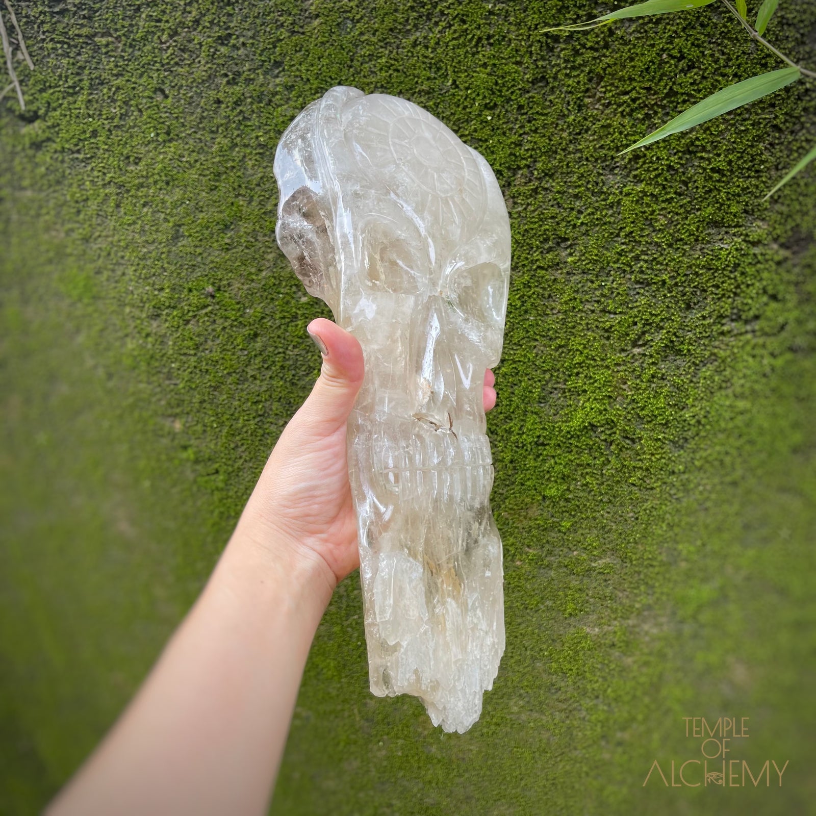 * Reserved A.B * Enhydro Shaman