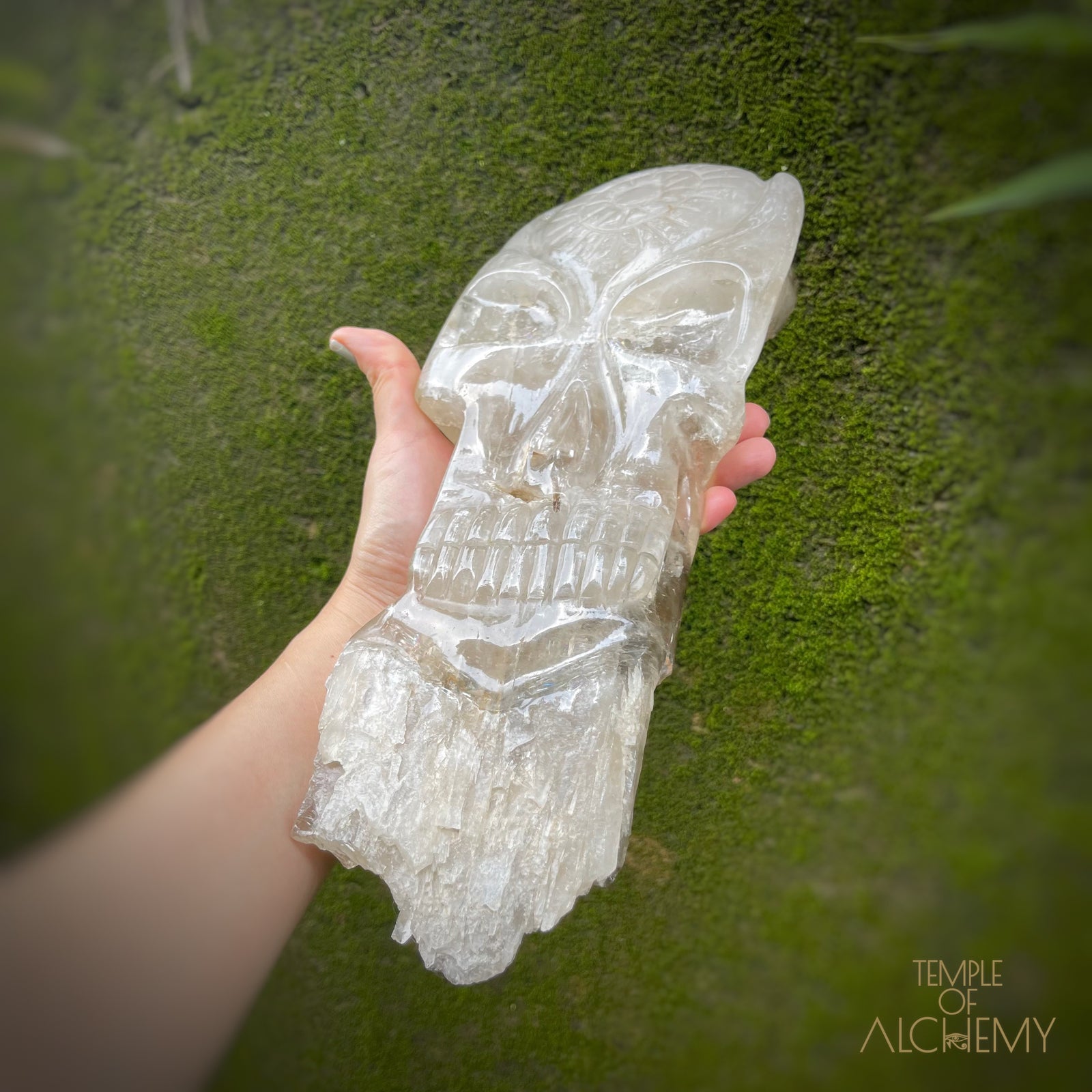 * Reserved A.B * Enhydro Shaman