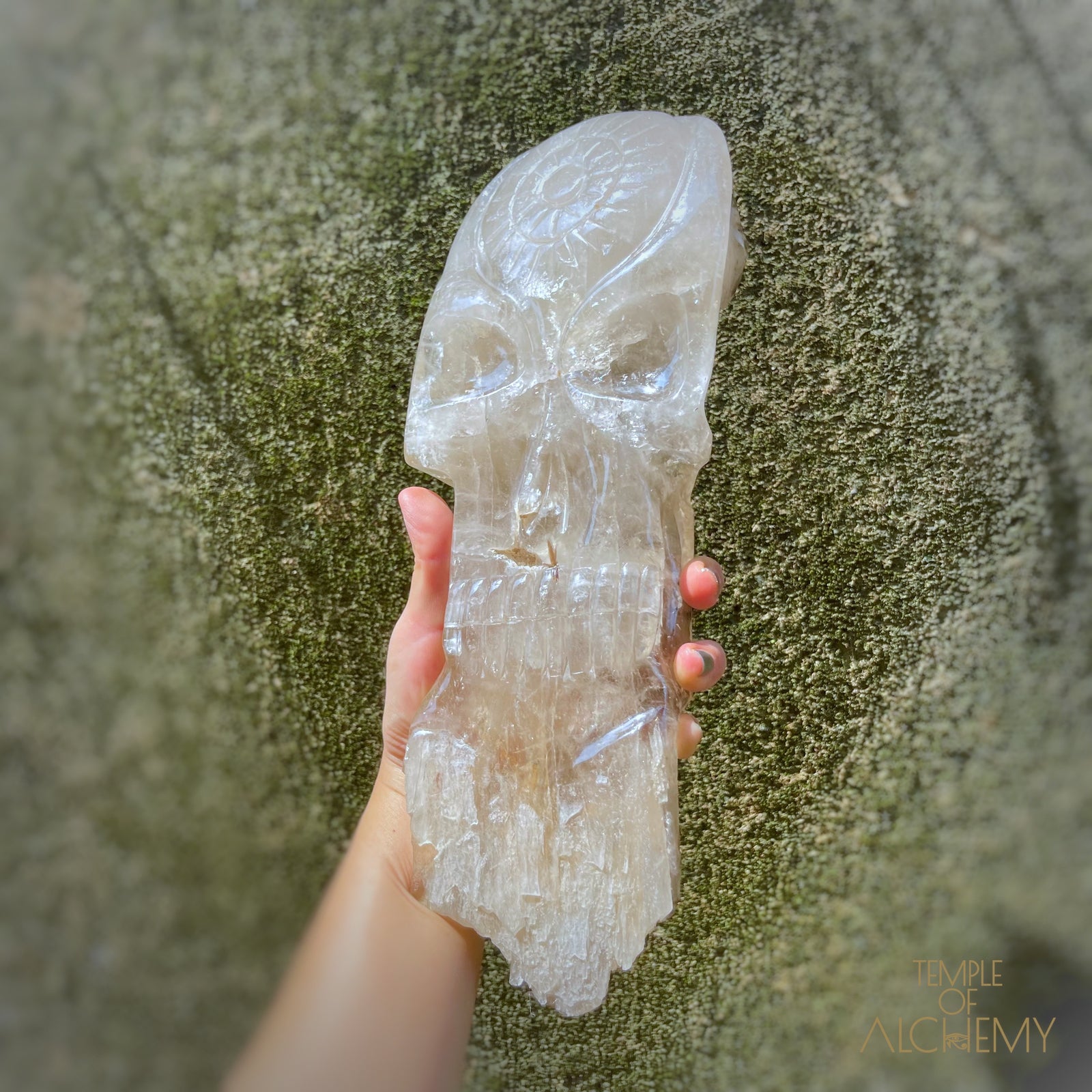 * Reserved A.B * Enhydro Shaman