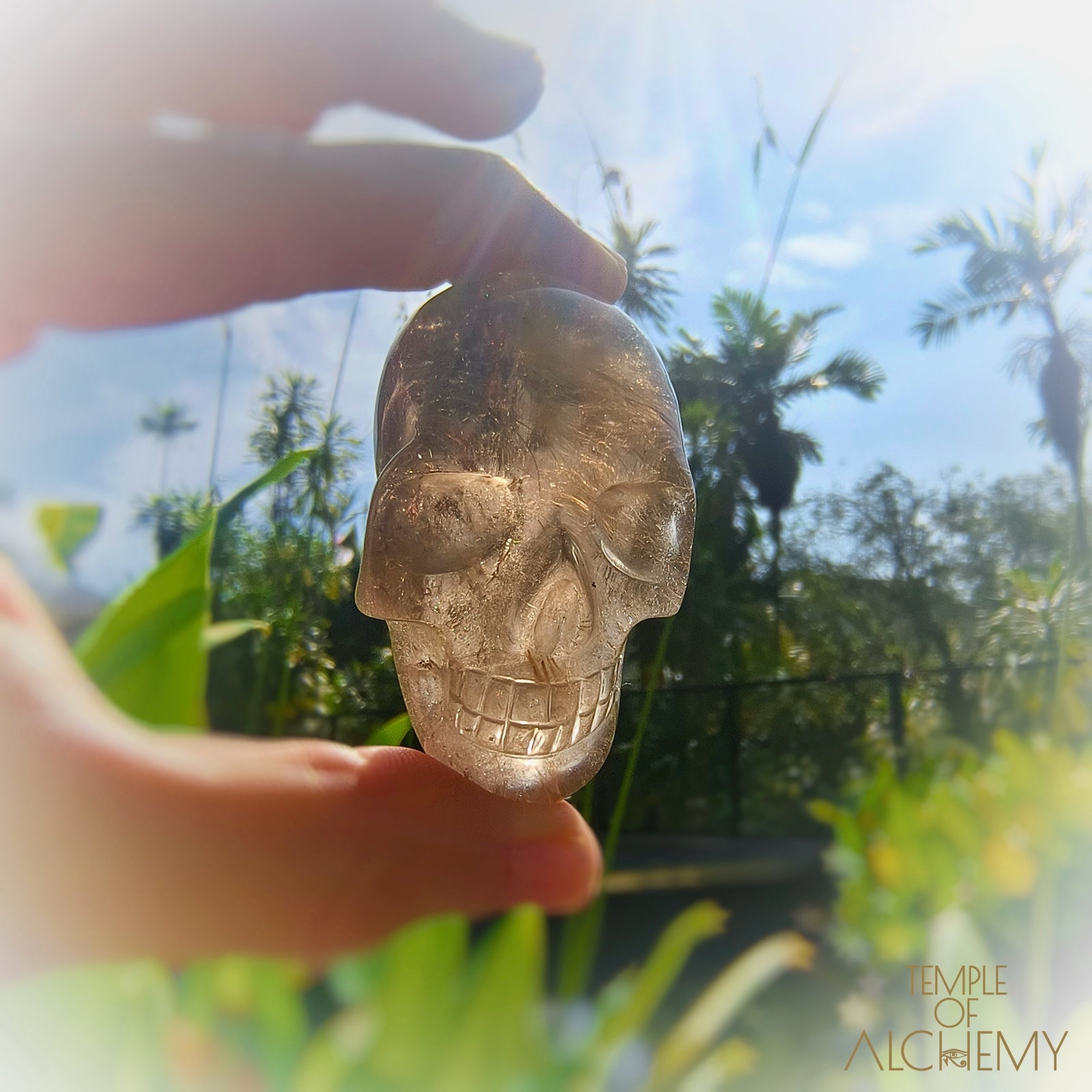 Smoky Quartz x Golden Rutiles