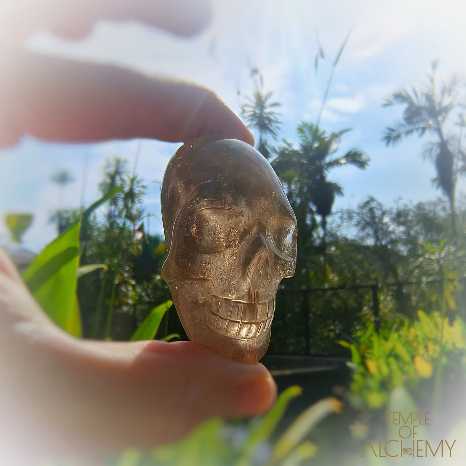 Smoky Quartz x Golden Rutiles