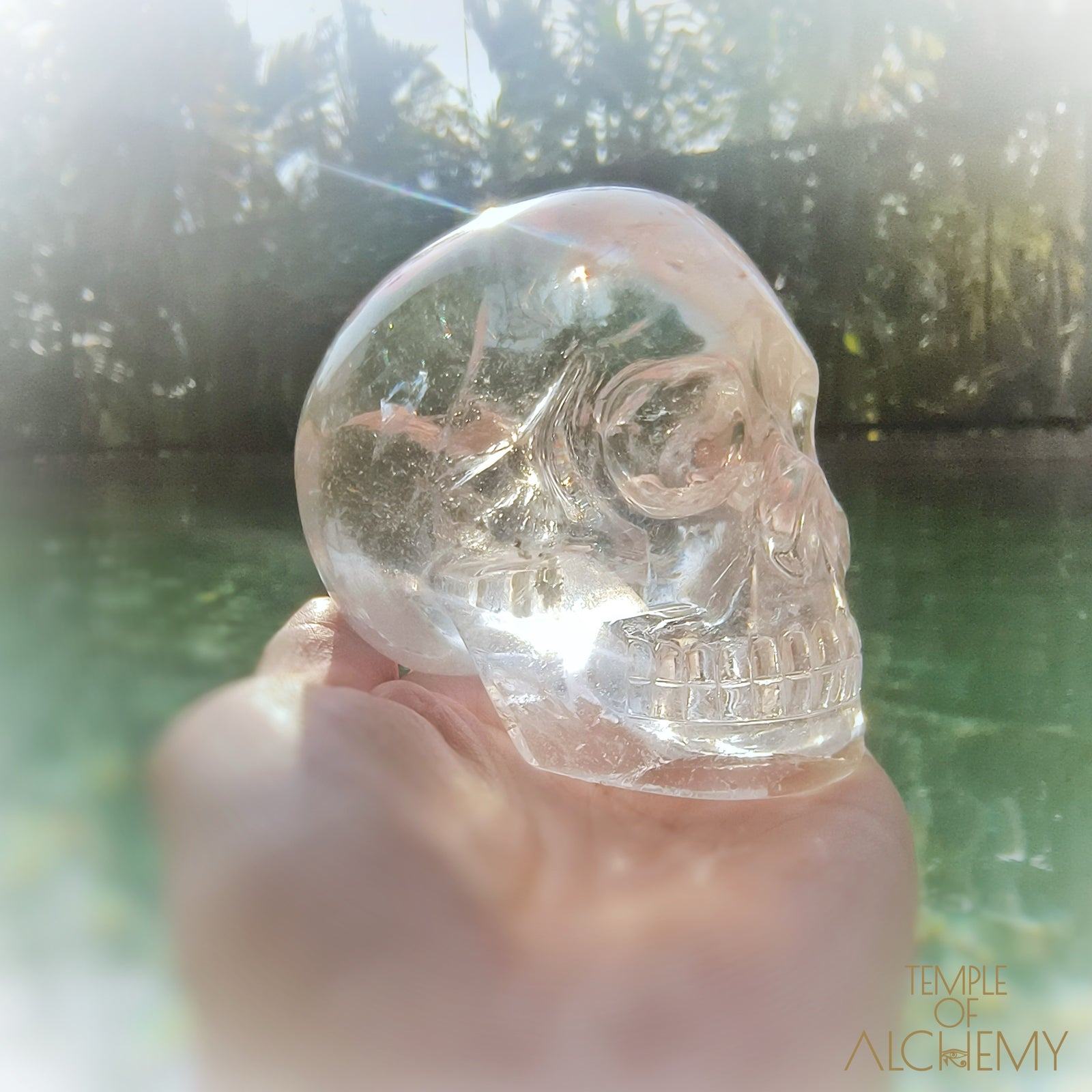 Lemurian