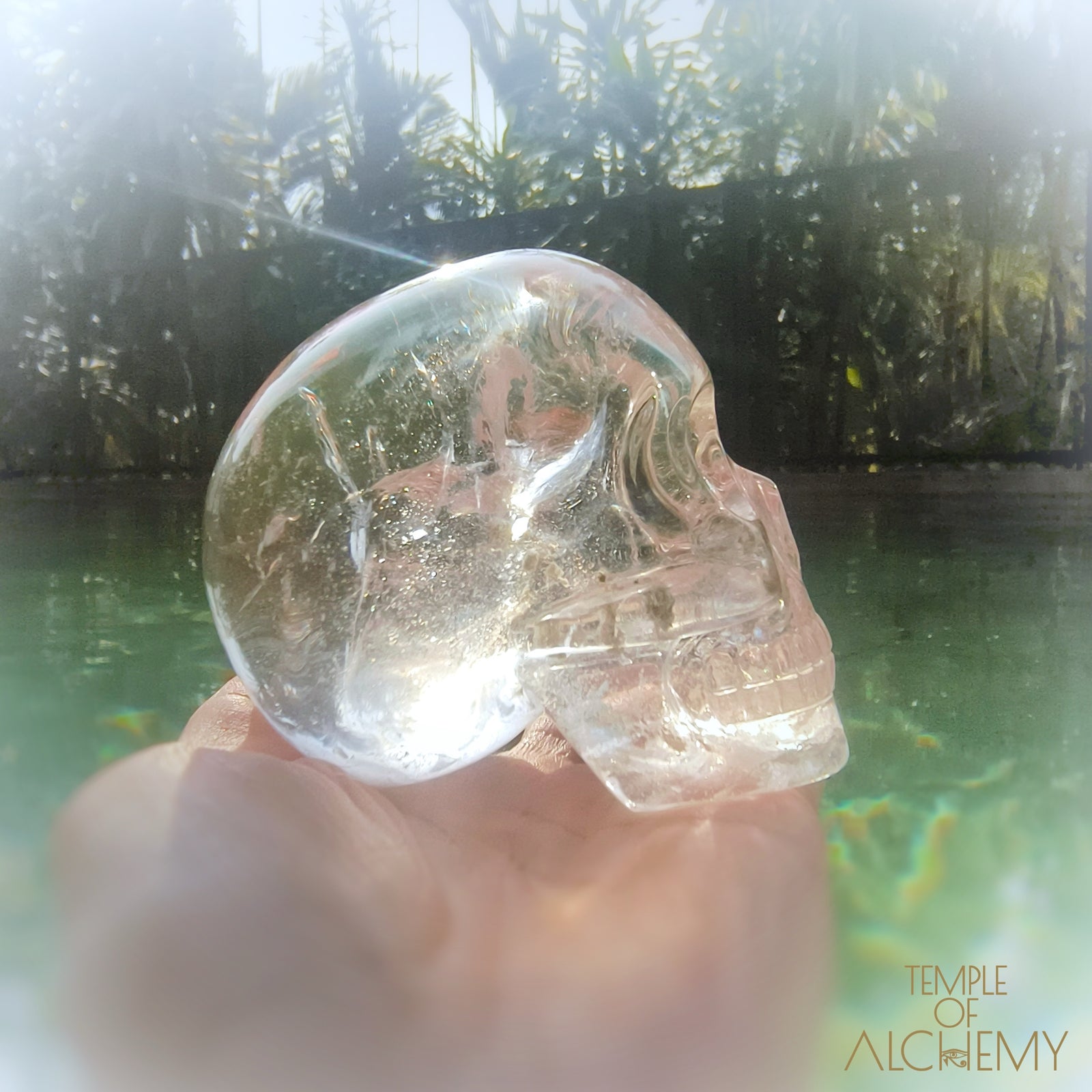 Lemurian