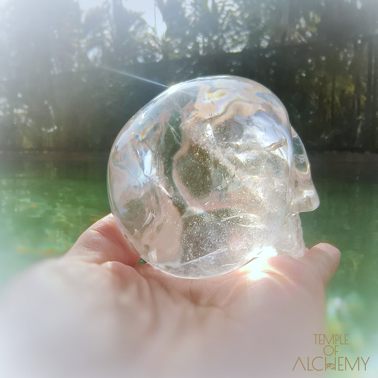 Lemurian