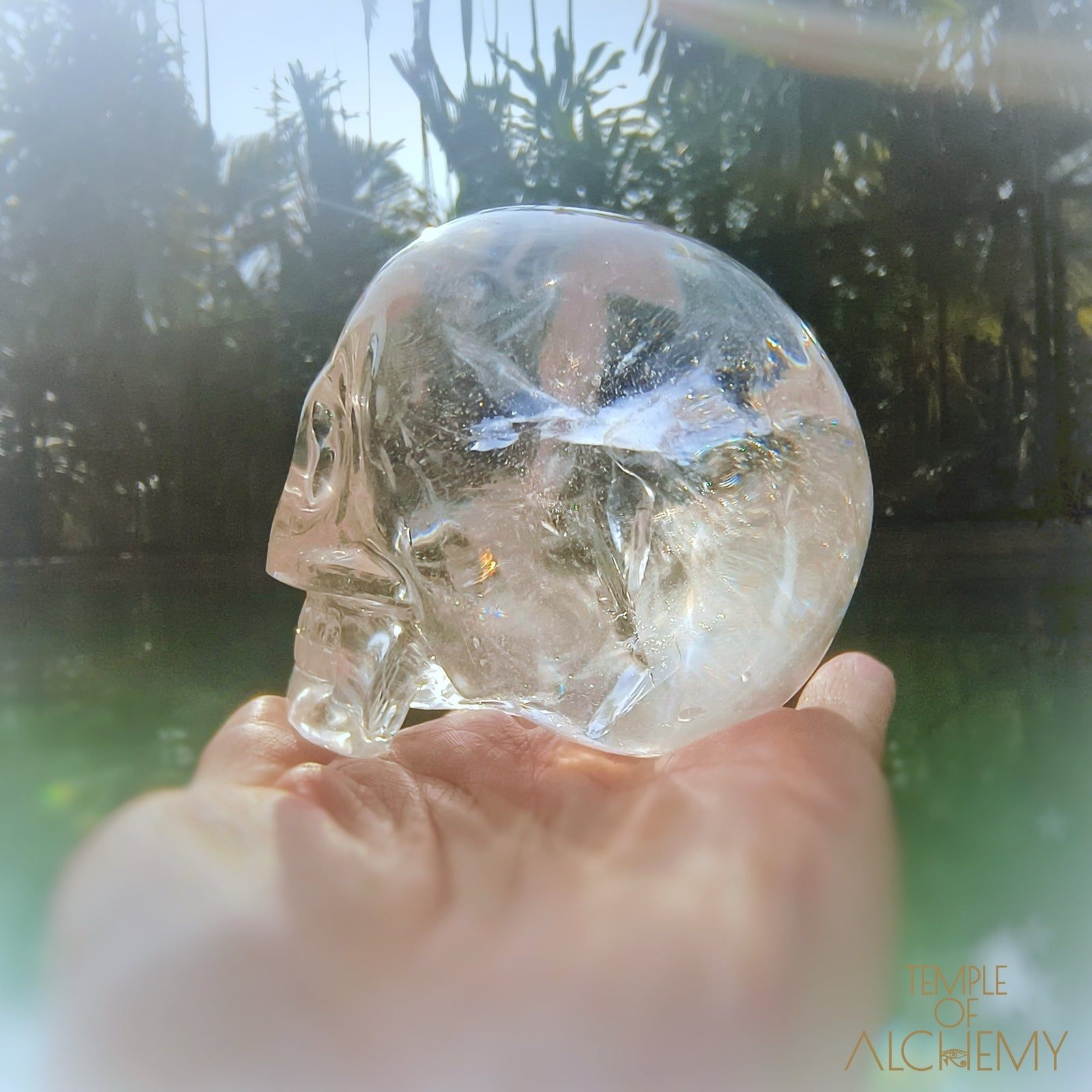 Lemurian