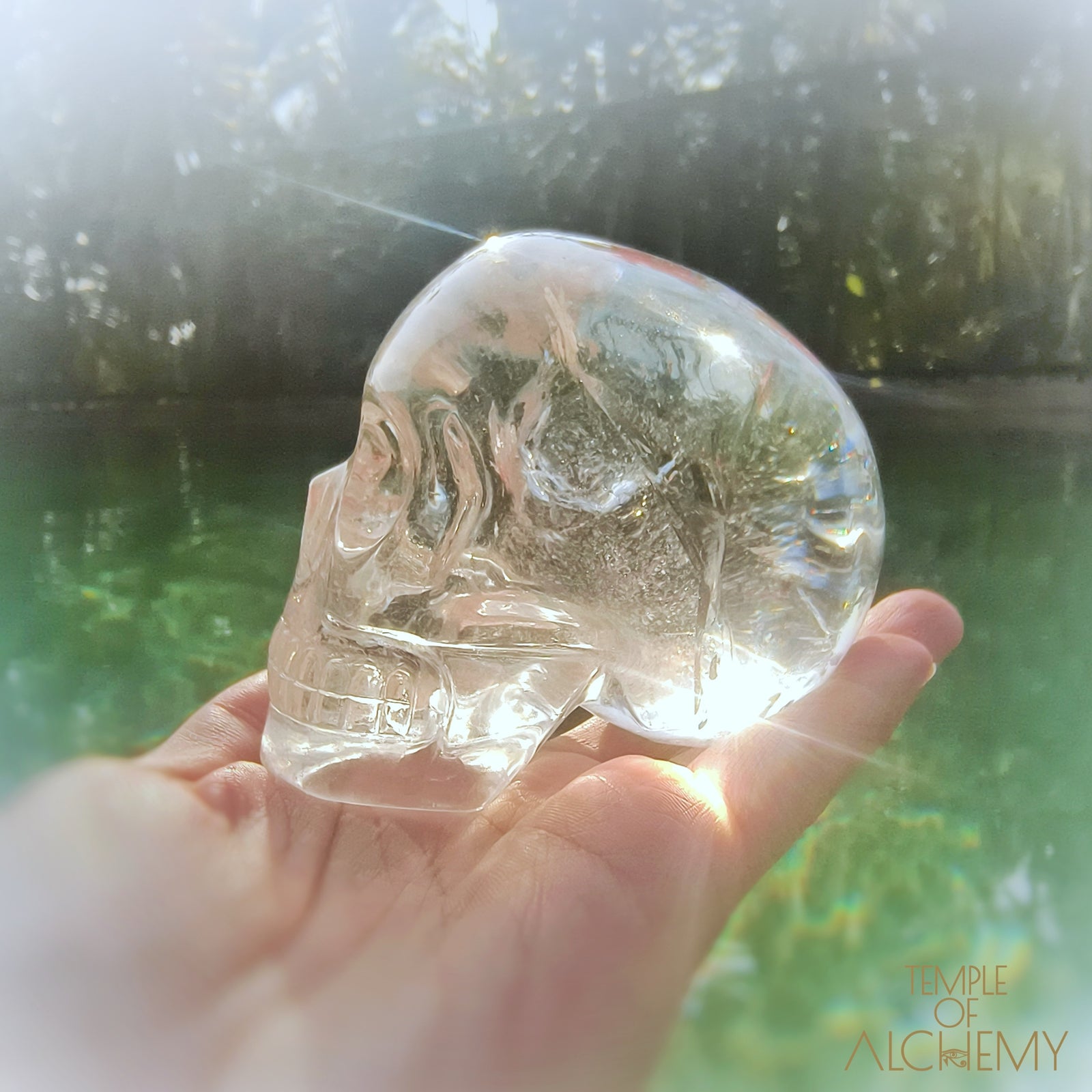 Lemurian