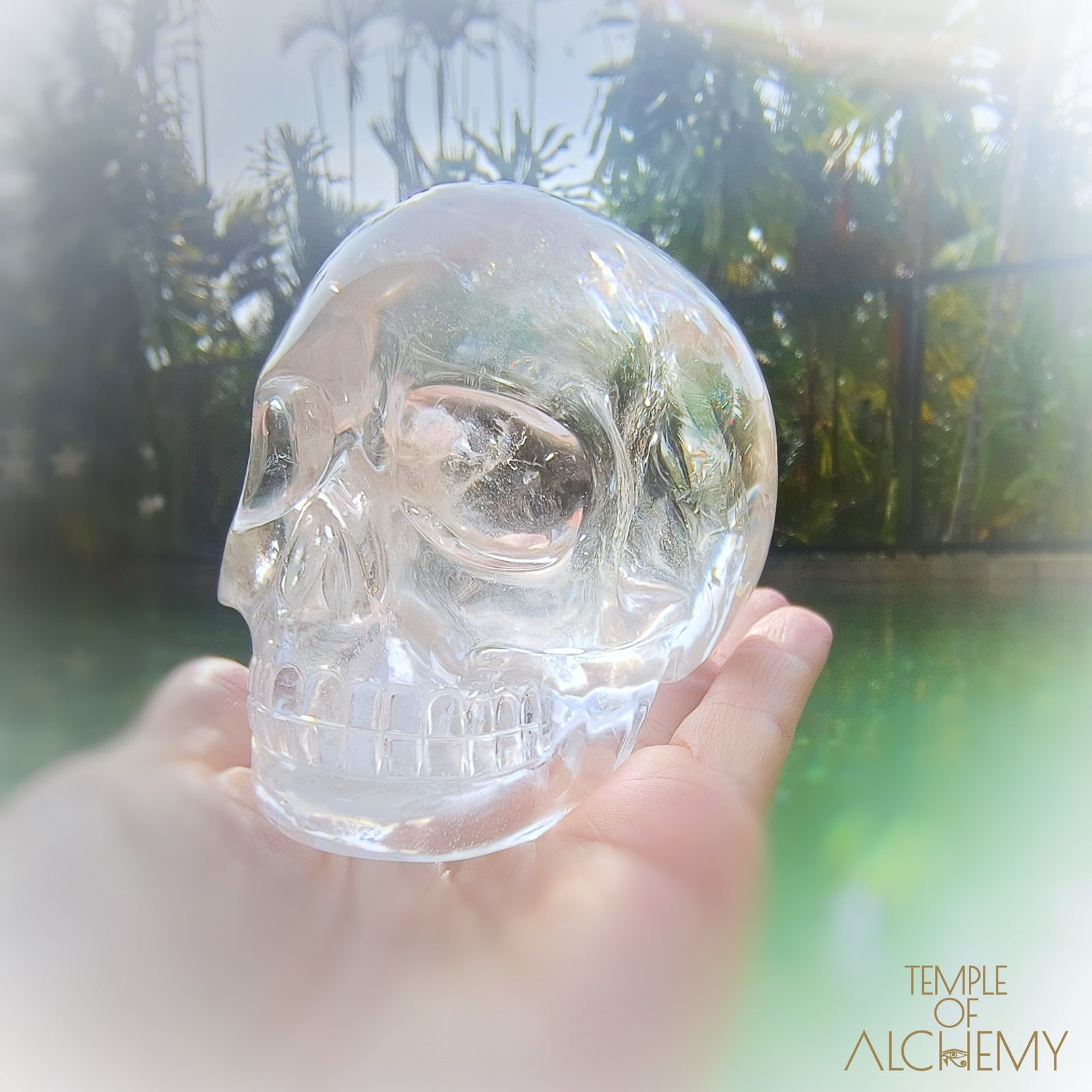 Lemurian