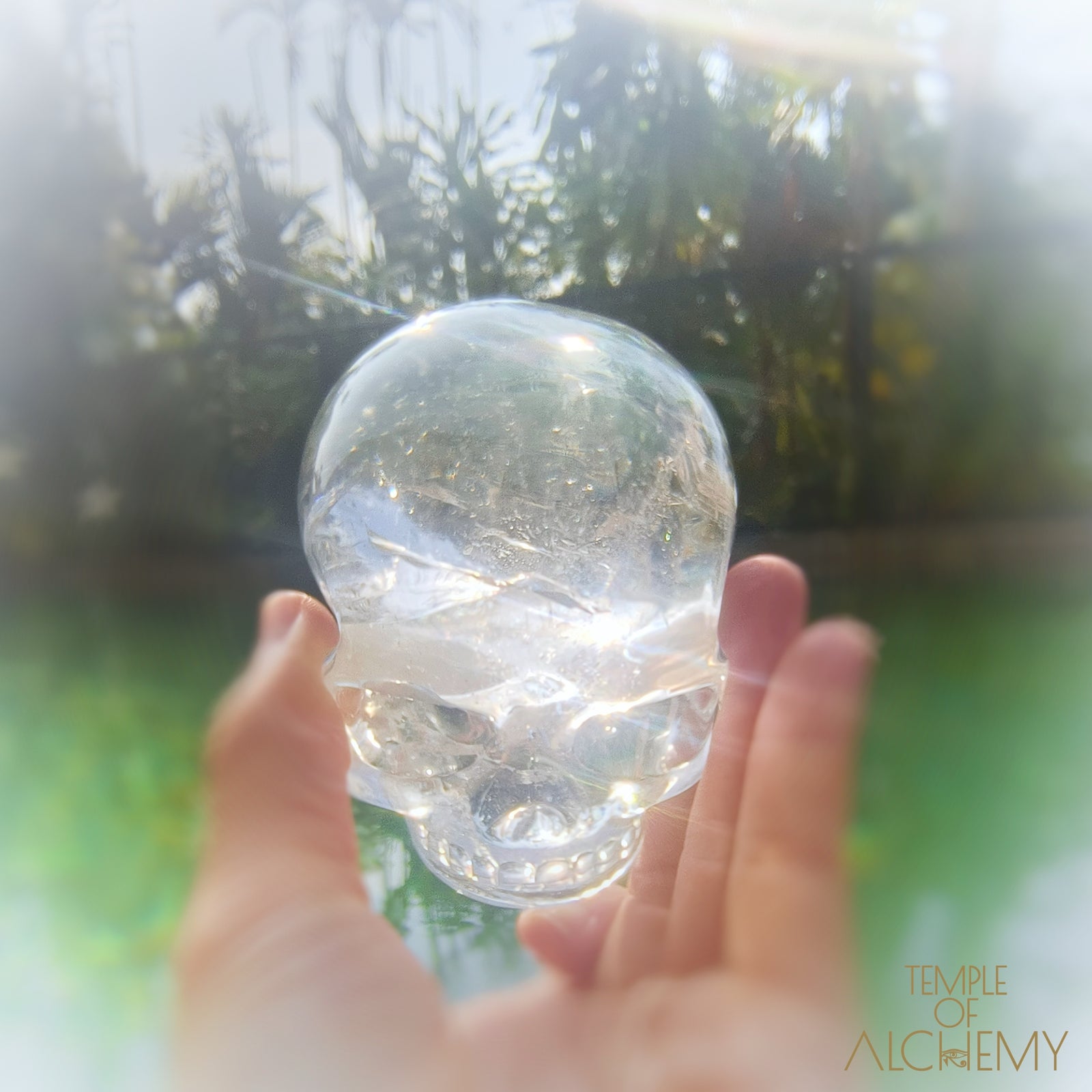 Lemurian