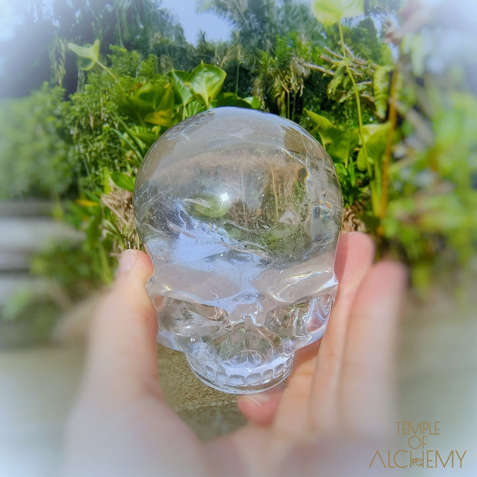 Lemurian
