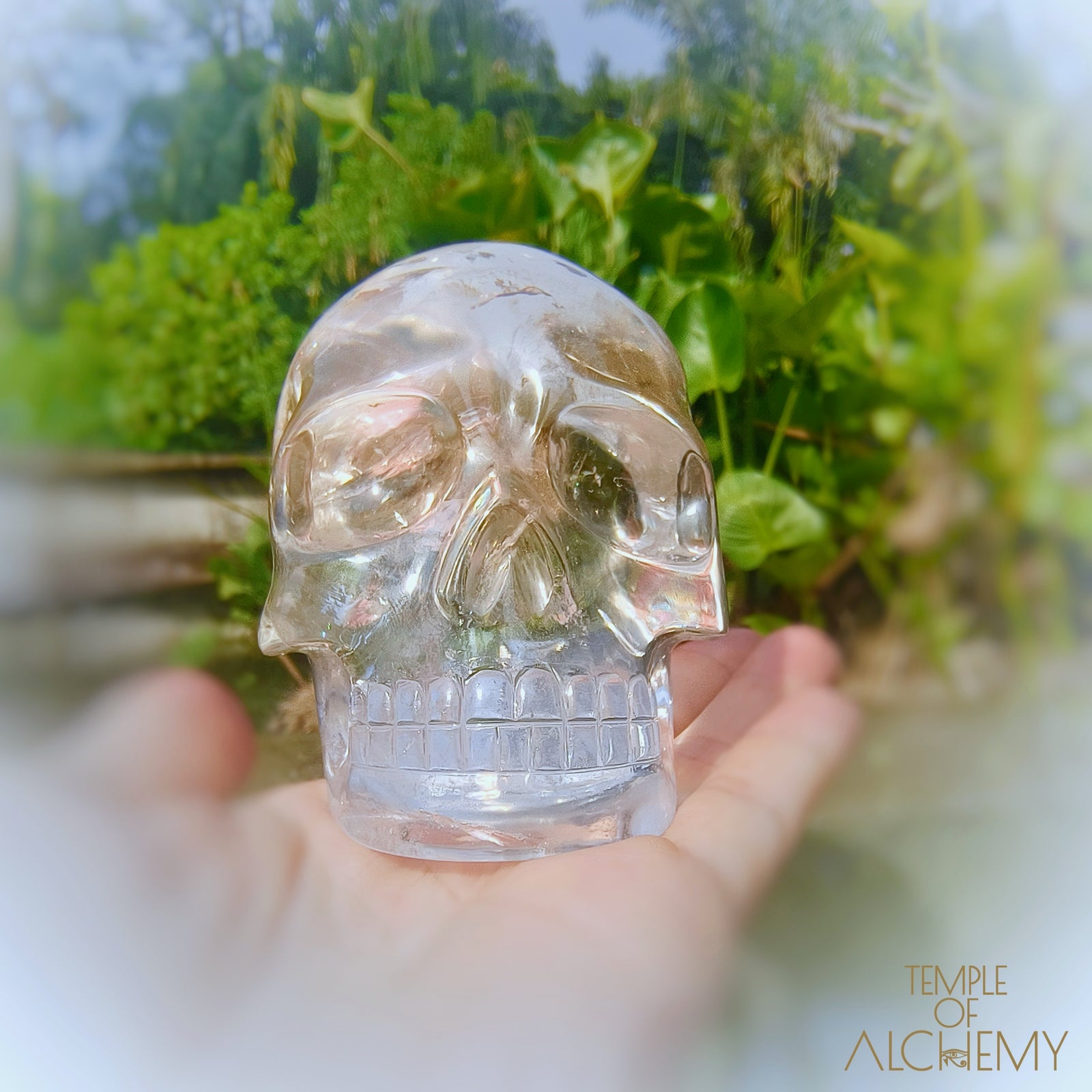 Lemurian