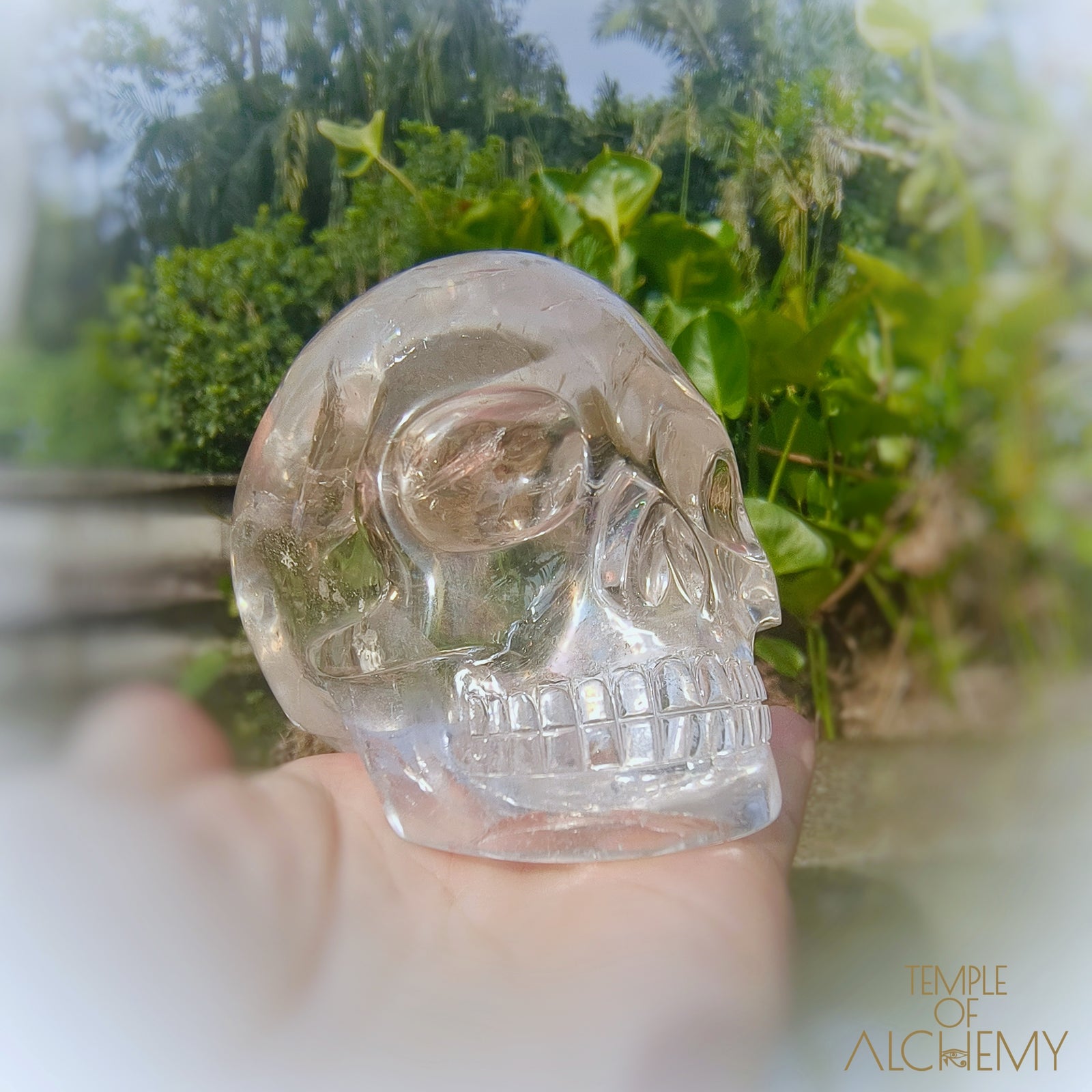 Lemurian
