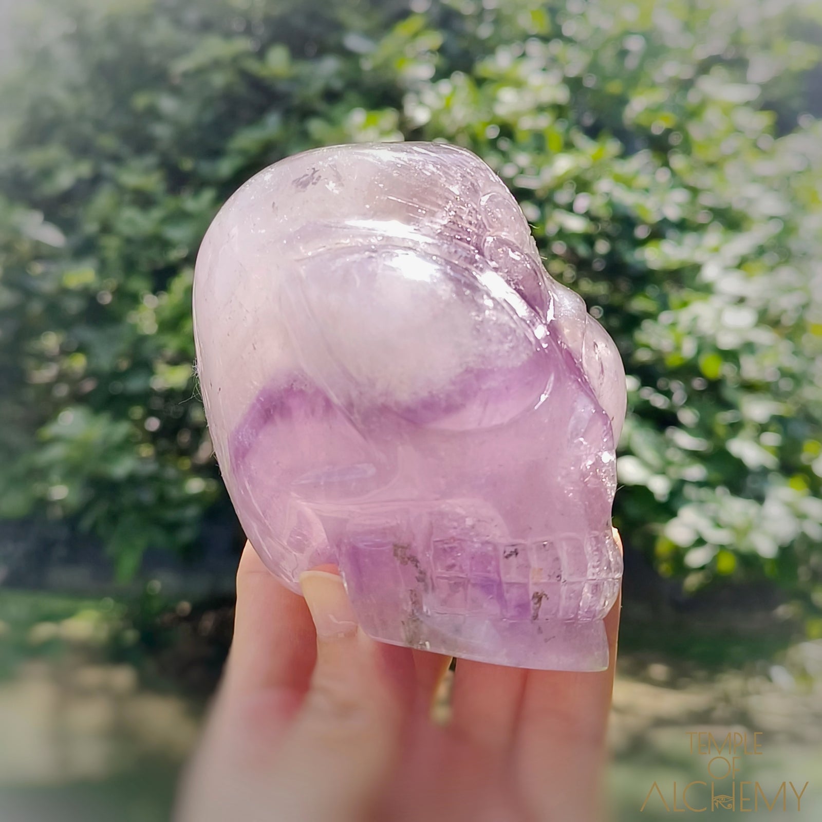 Phantom Amethyst