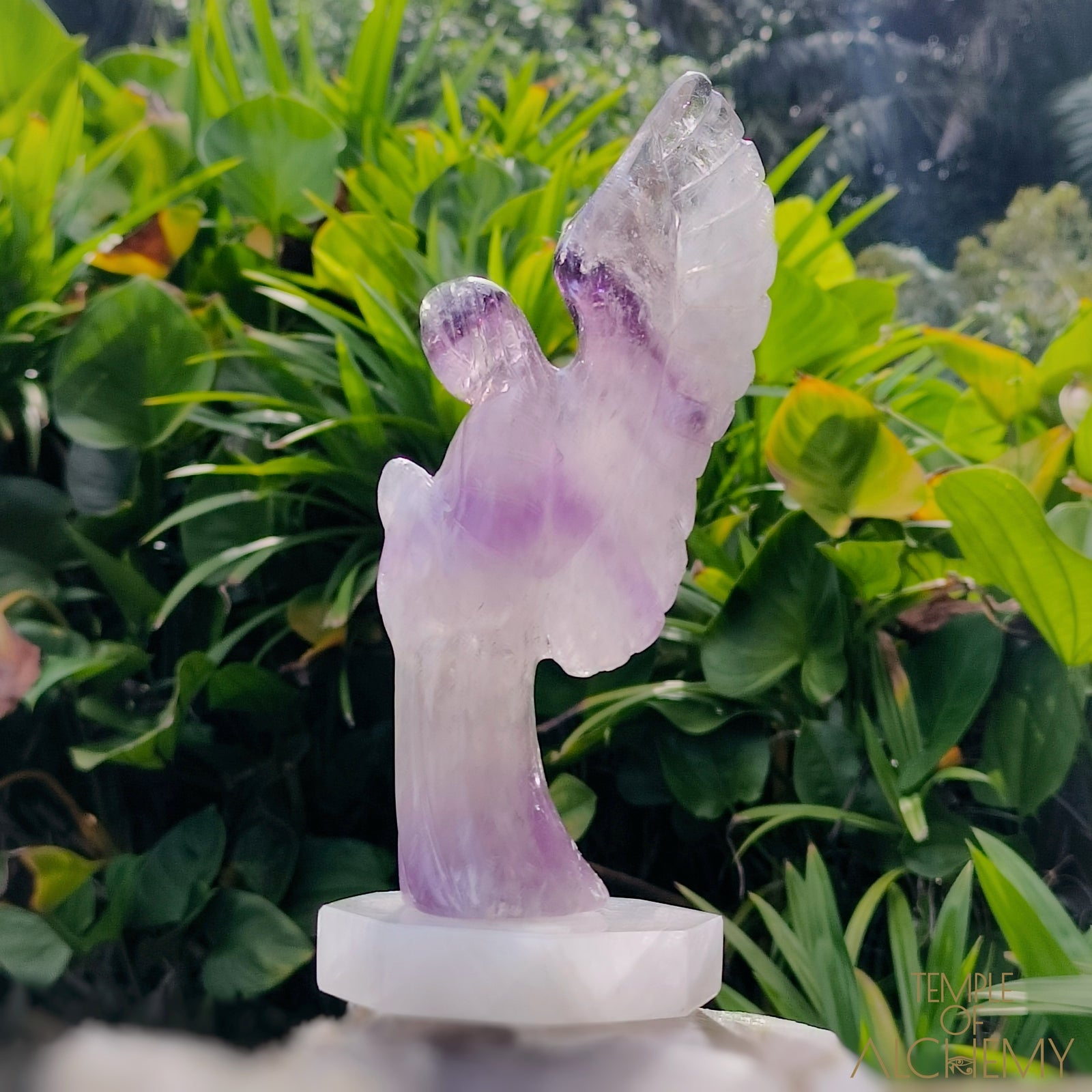Phantom Amethyst