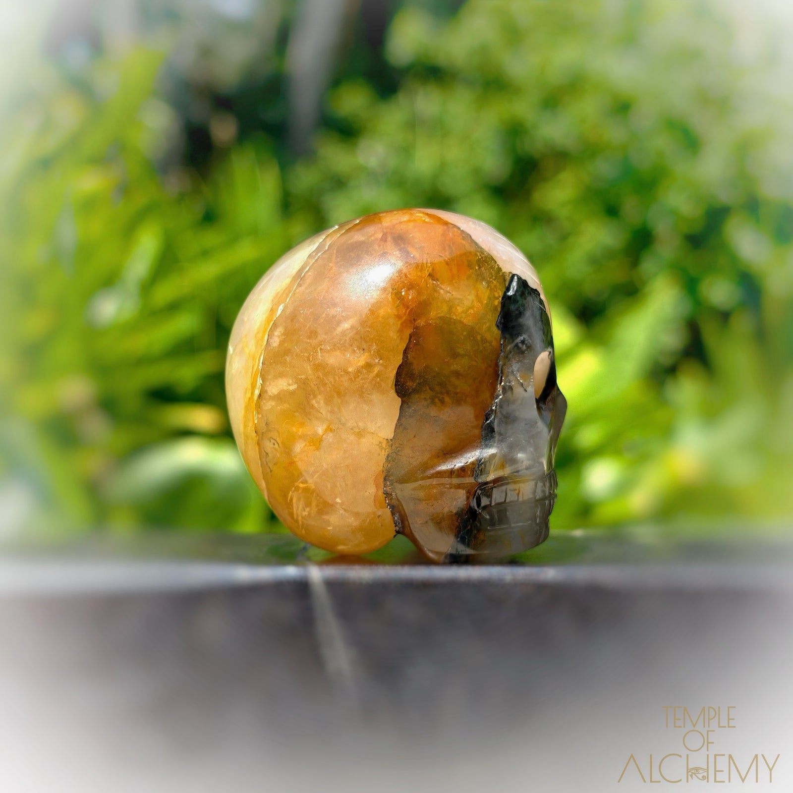 Green Chlorite x Golden Healer x Milky Quartz