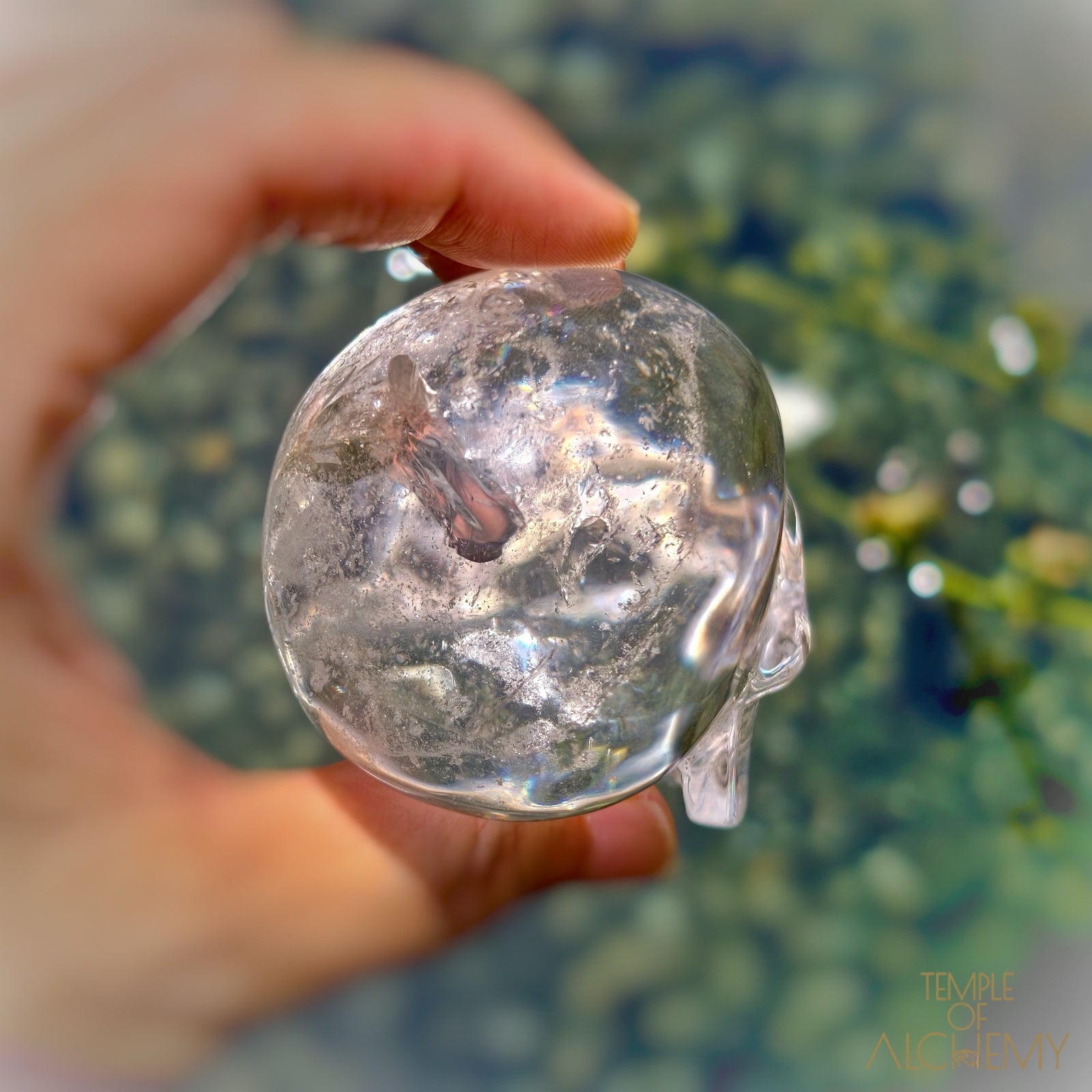 Lemurian