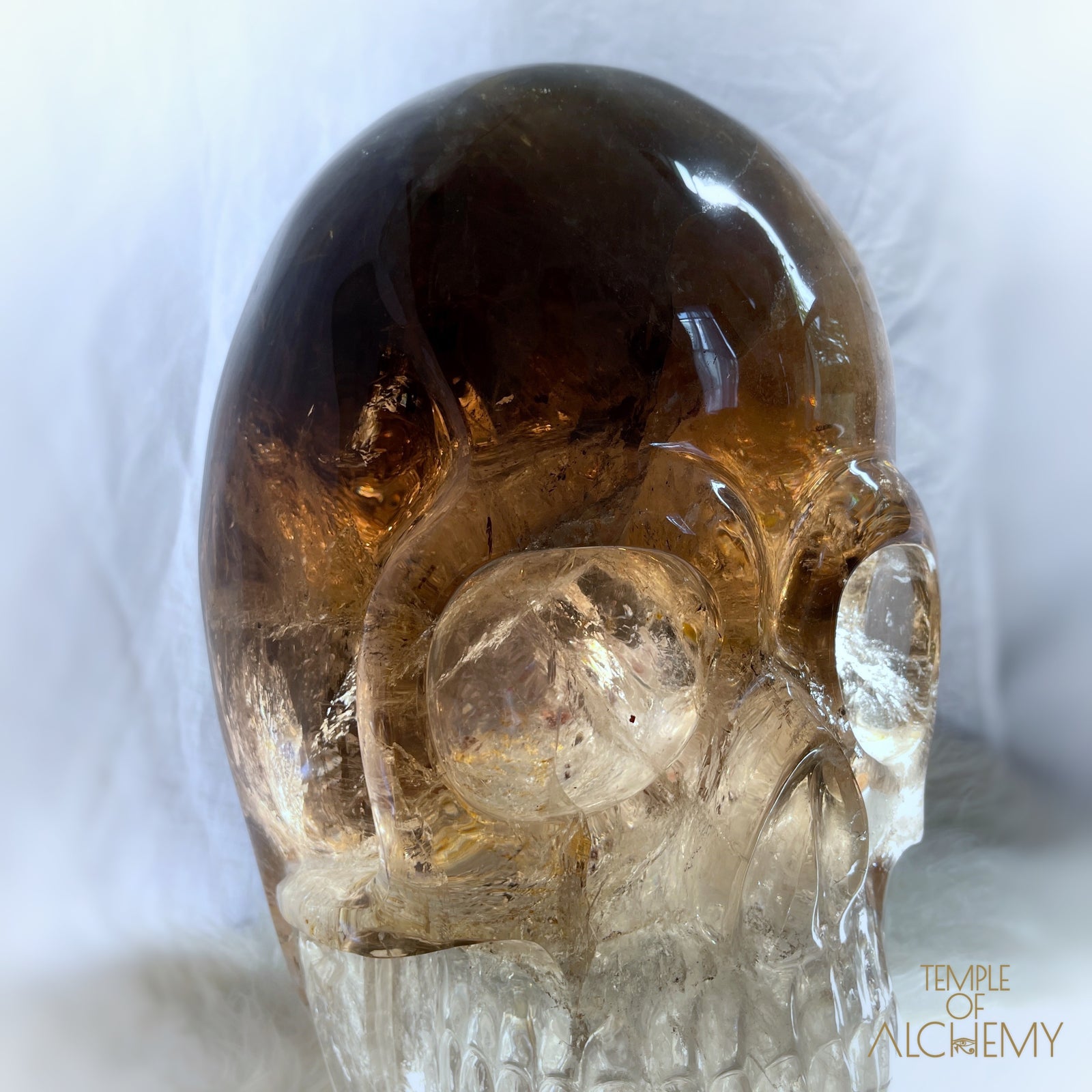 Phallon ๐ Warrior #169 The Cosmic Egg