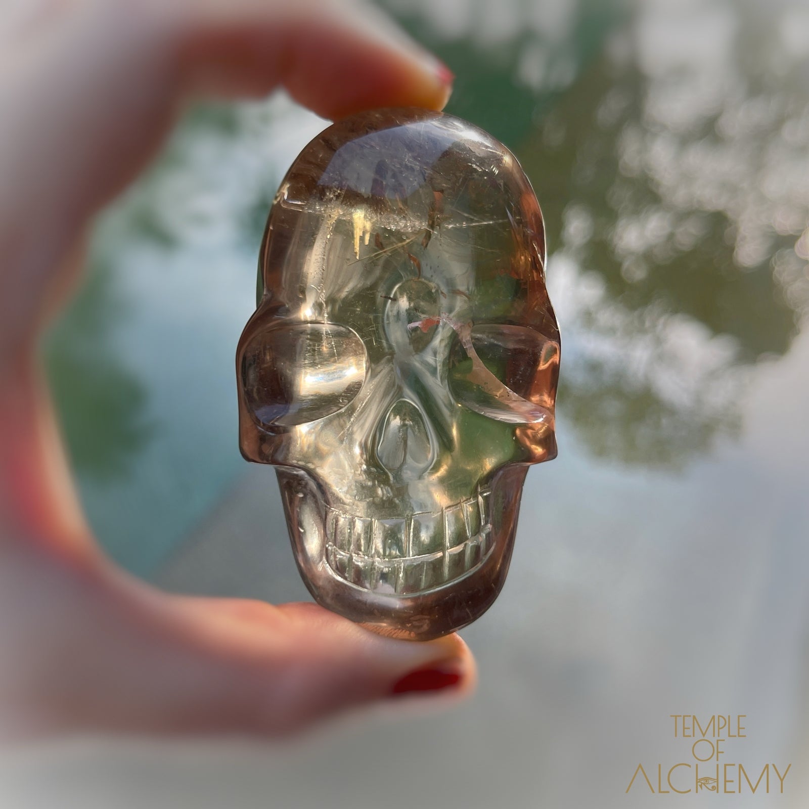 Smoky Citrine x Golden Rutiles