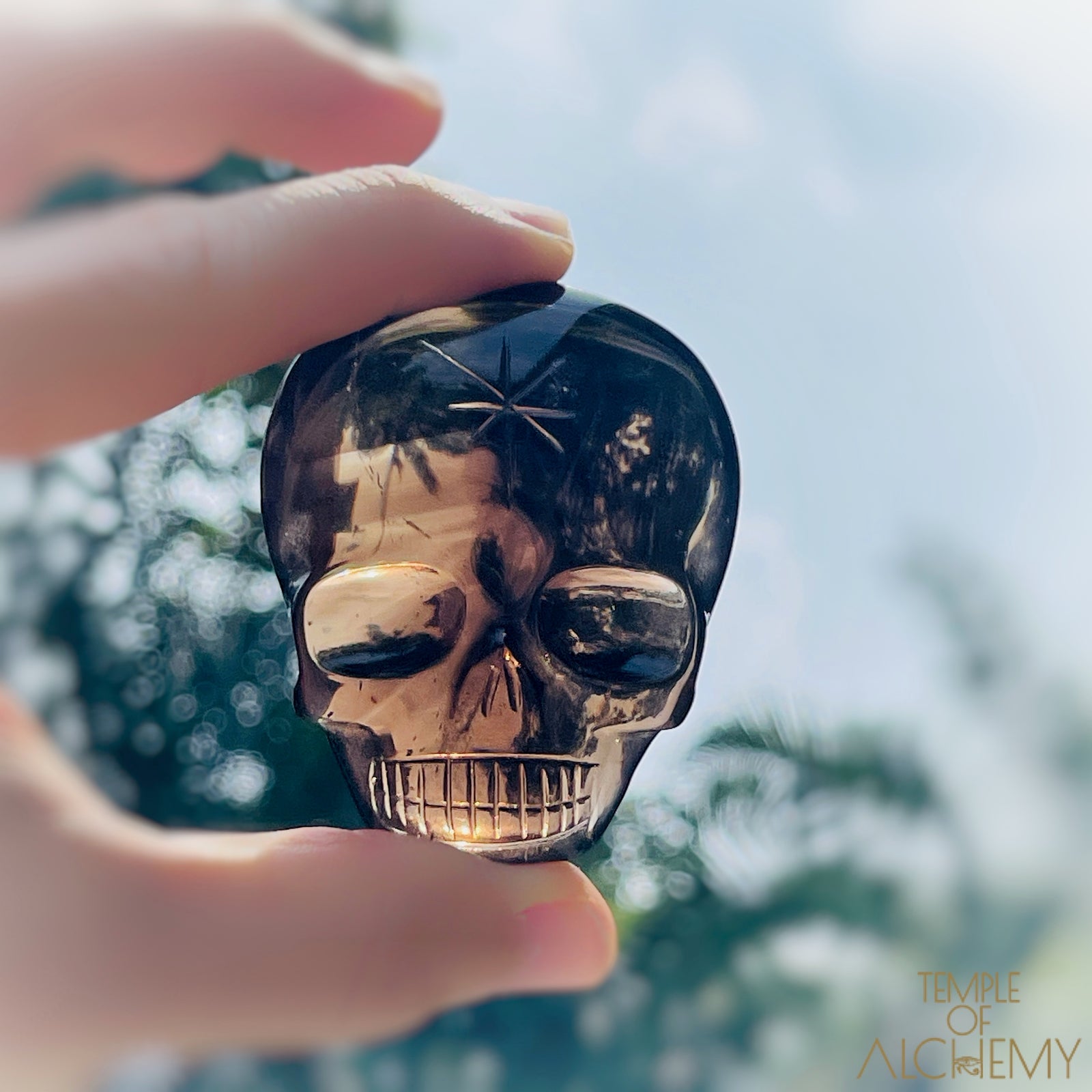 Phantom Smoky Quartz