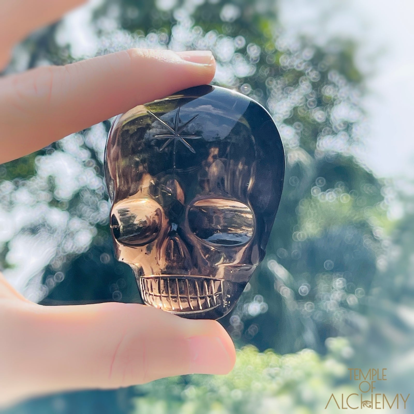 Phantom Smoky Quartz