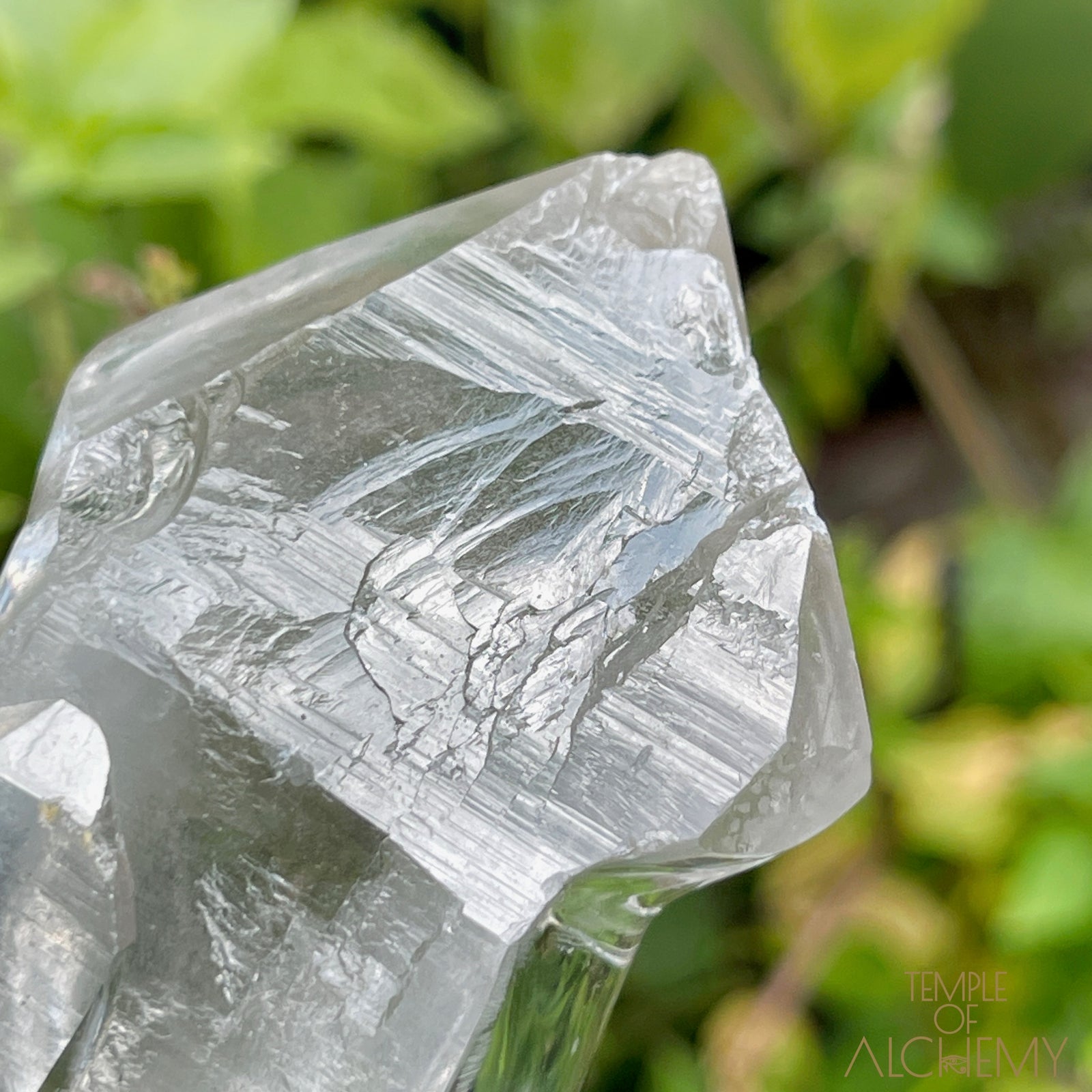 Ascension 𓄂♡𓆃 Record Keeper Citrine Cathedral Lightbrary