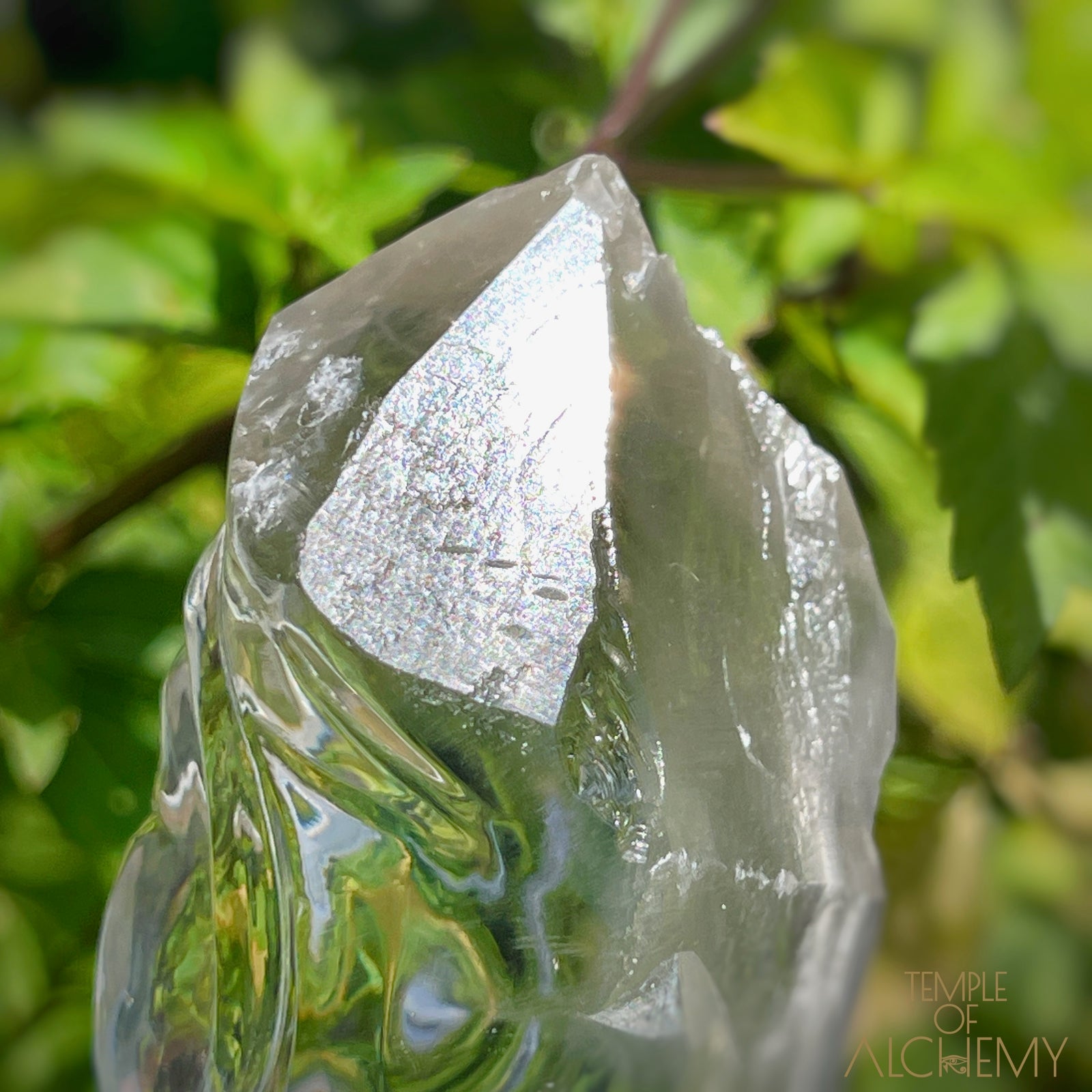 Ascension 𓄂♡𓆃 Record Keeper Citrine Cathedral Lightbrary