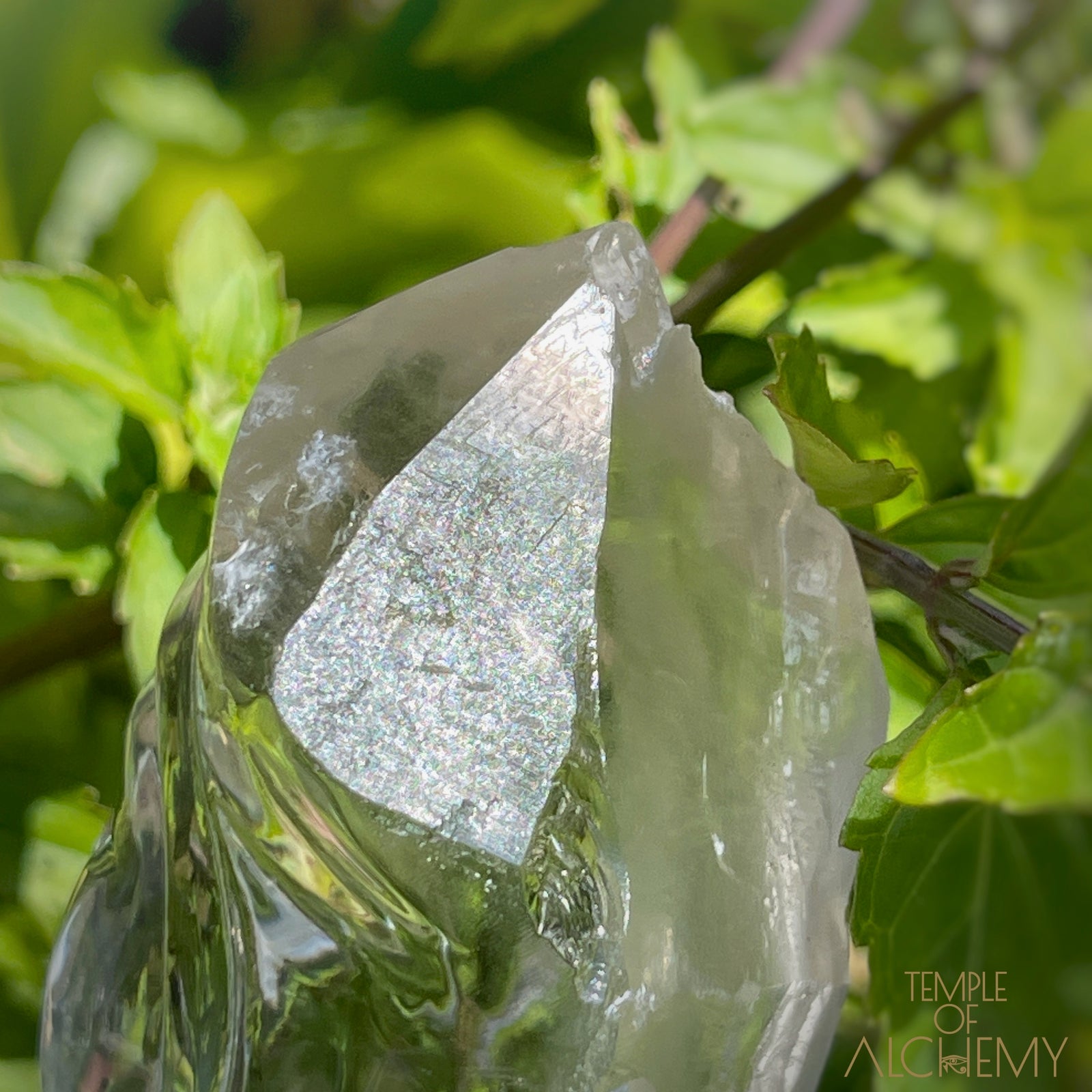 Ascension 𓄂♡𓆃 Record Keeper Citrine Cathedral Lightbrary