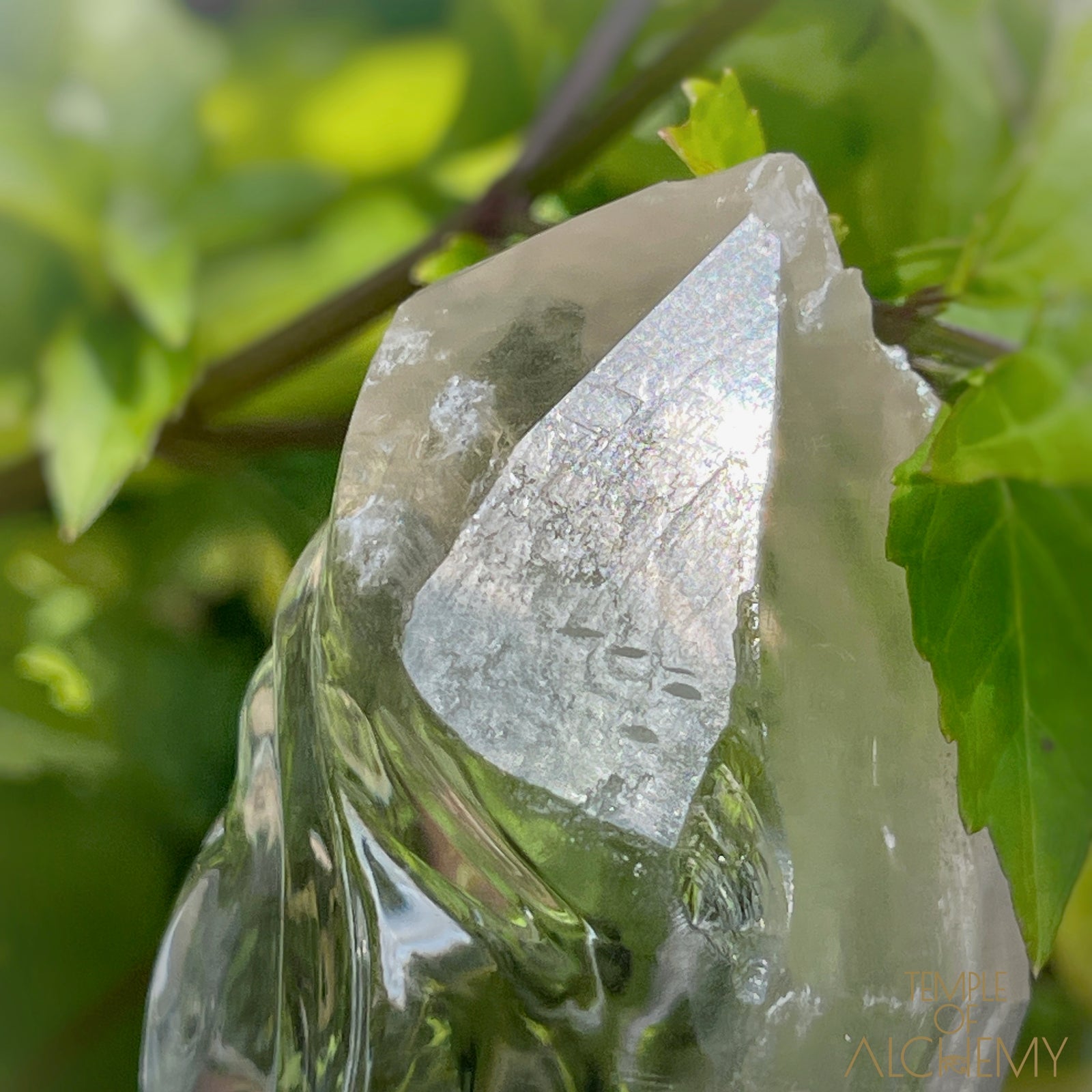 Ascension 𓄂♡𓆃 Record Keeper Citrine Cathedral Lightbrary