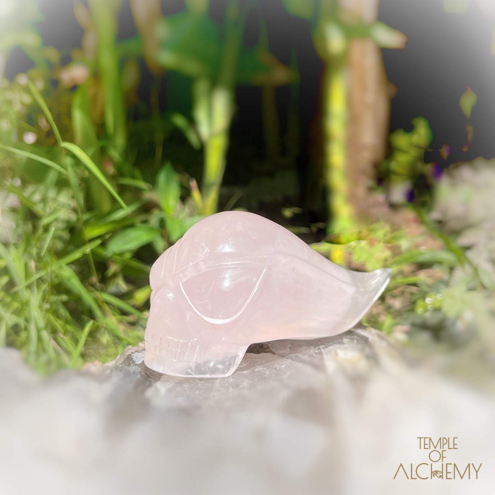 Rose Quartz