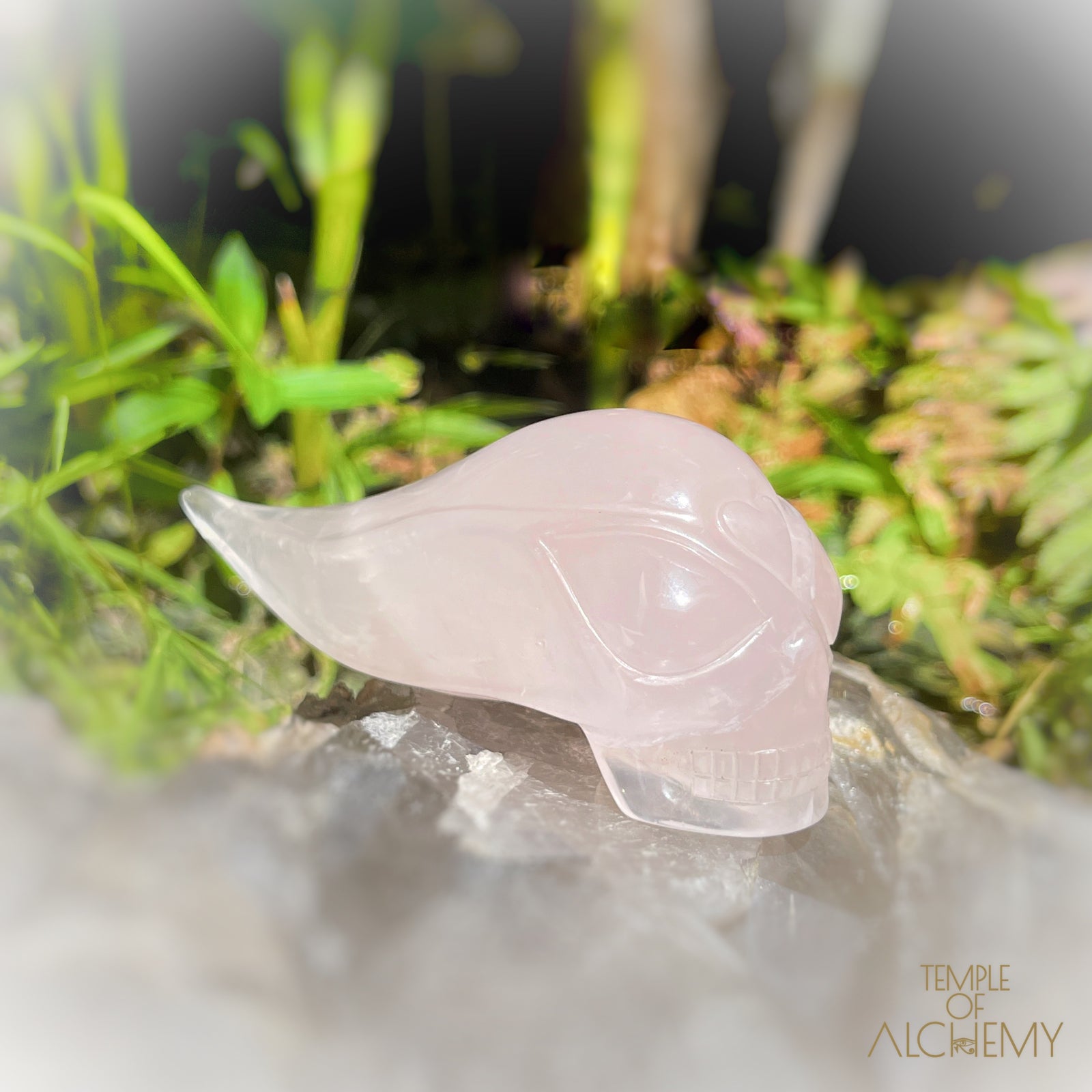 Rose Quartz
