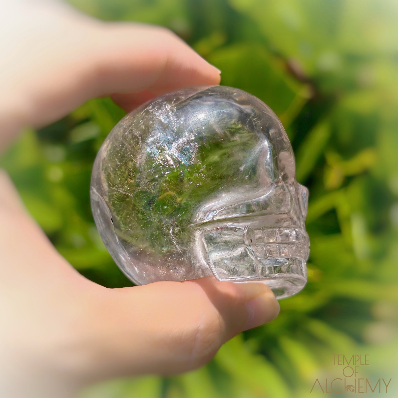 Lemurian ๐ Keeper of the Ancient Light