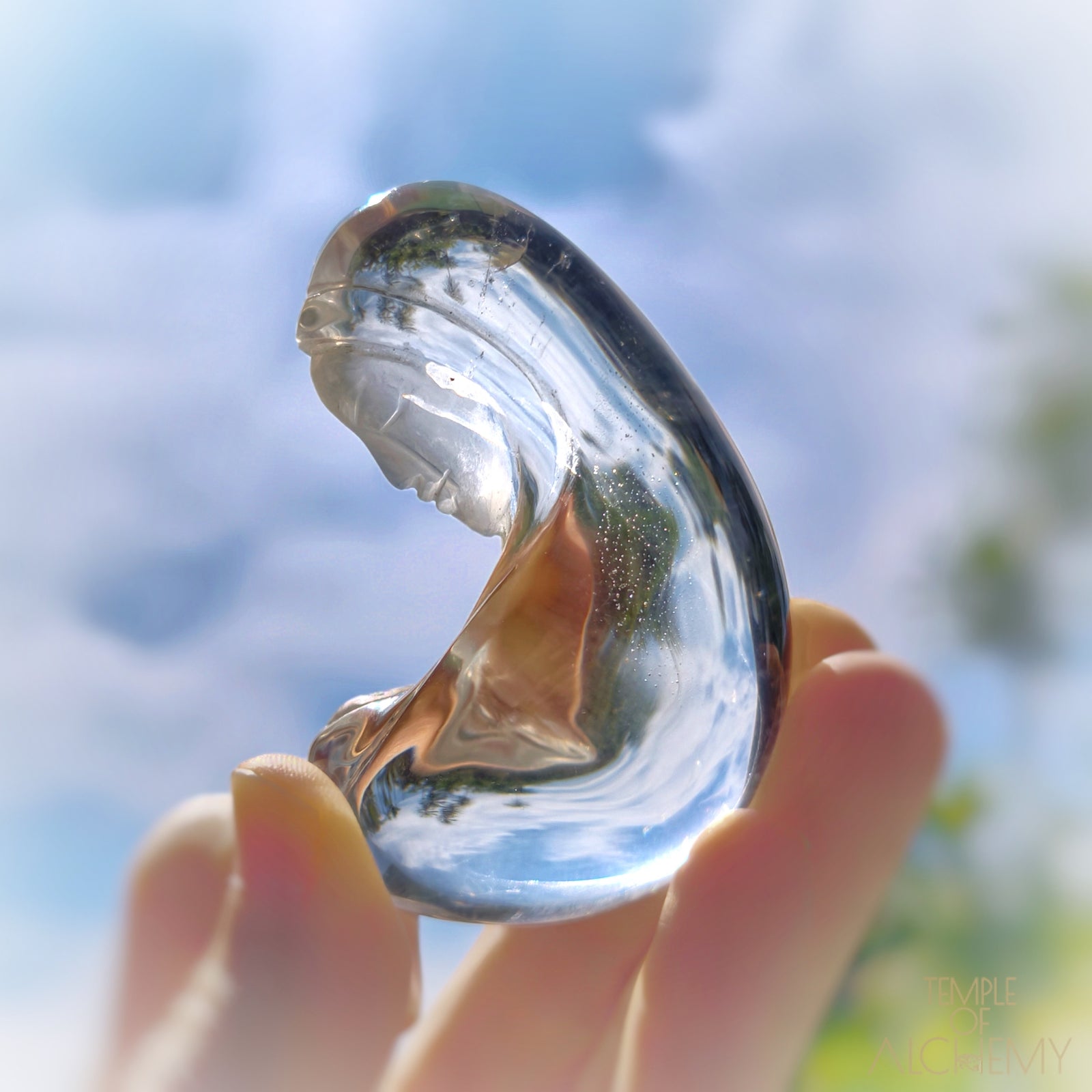 * Reserved C * Ascension 𓄂♡𓆃 Lemurian