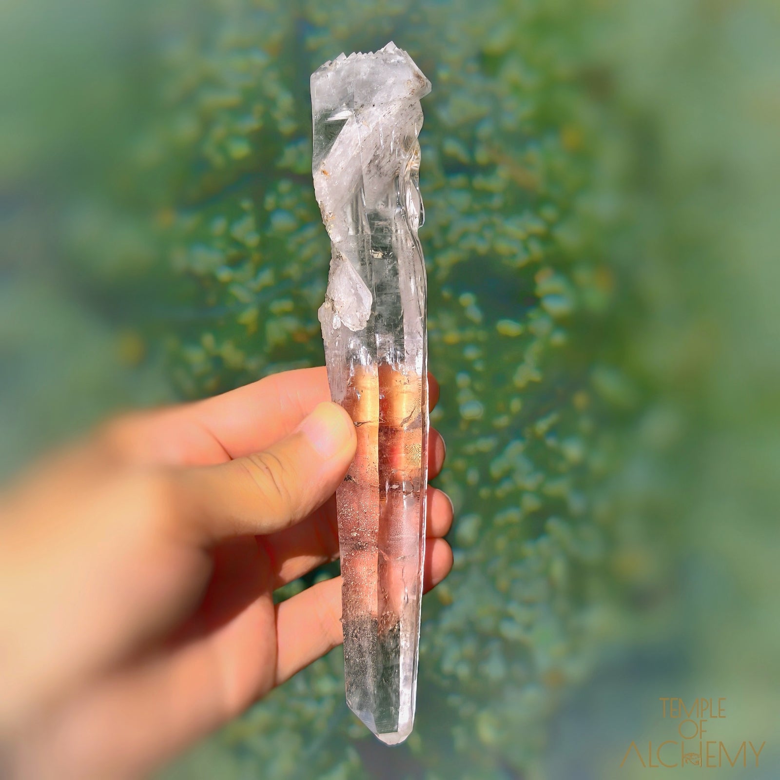 Coming Soon * Artichoke & Bridge 𓄂♡𓆃 Sirius Quartz