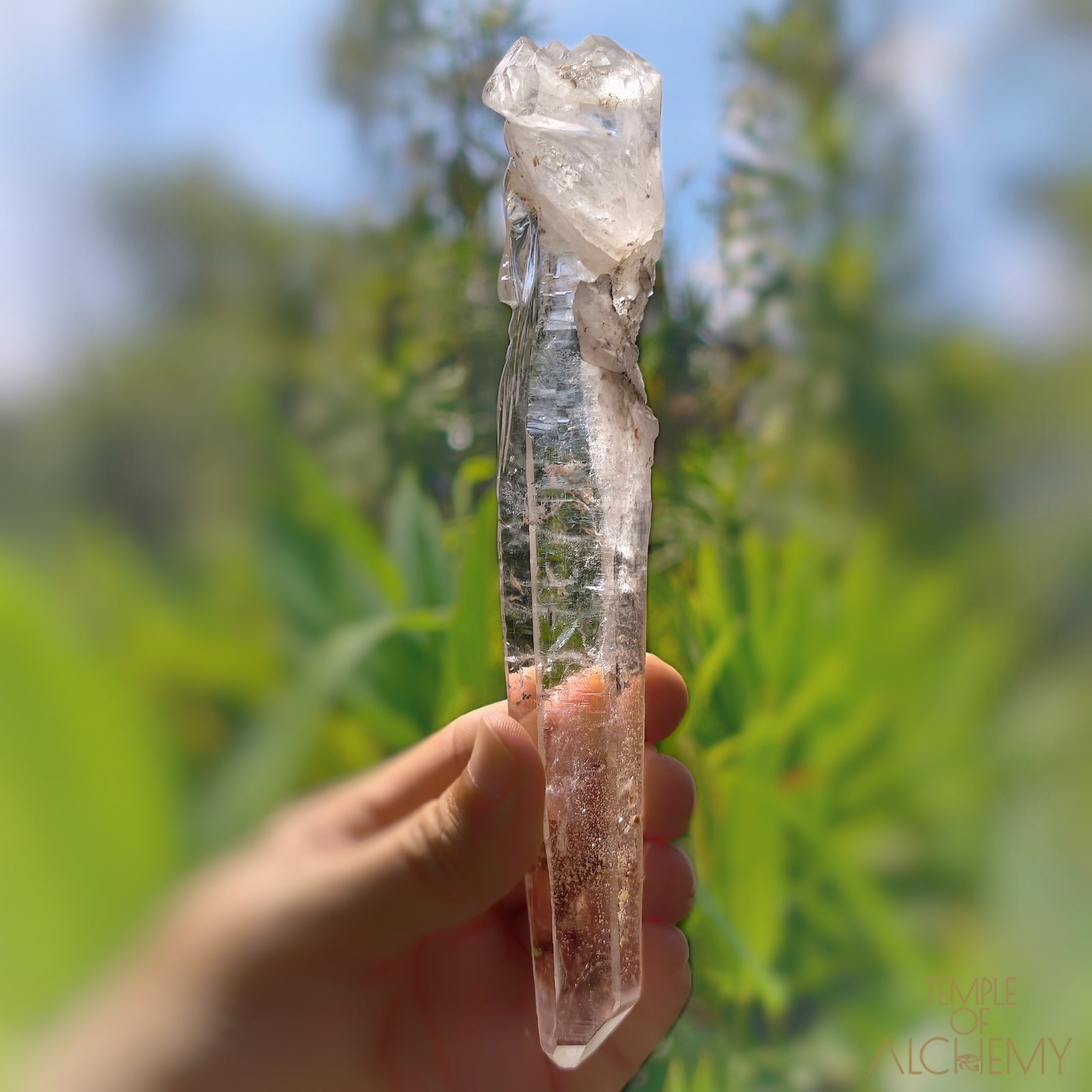 Coming Soon * Artichoke & Bridge 𓄂♡𓆃 Sirius Quartz