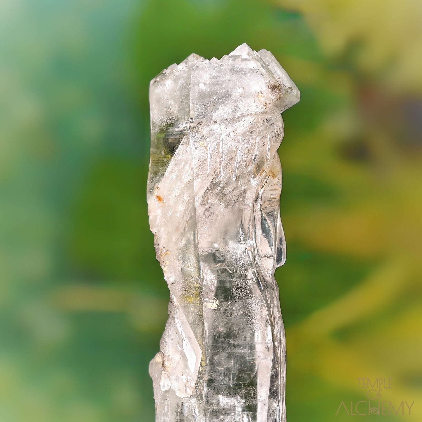 Coming Soon * Artichoke & Bridge 𓄂♡𓆃 Sirius Quartz