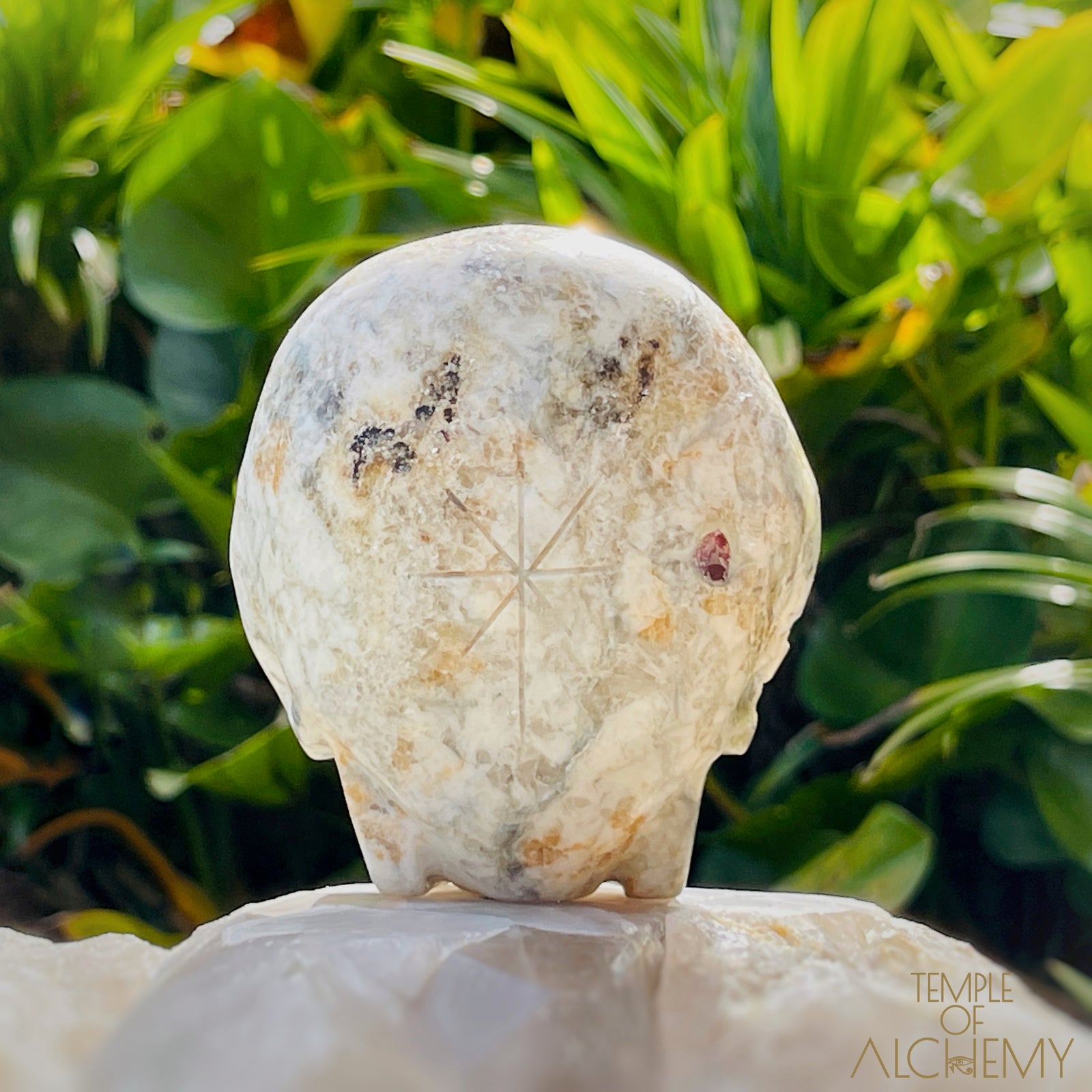 Triphylite X Garnet