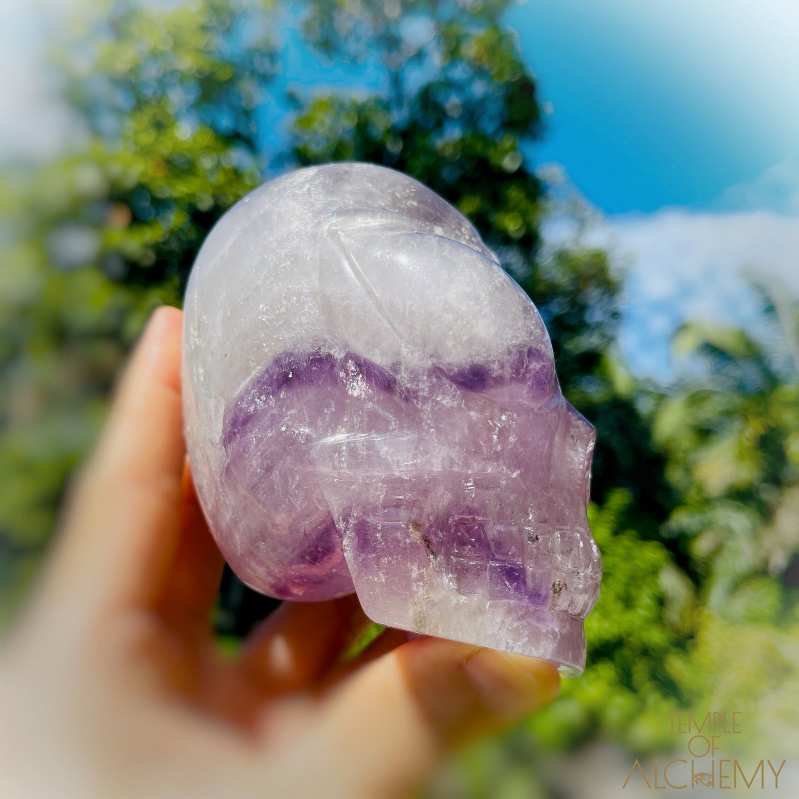 Phantom Amethyst