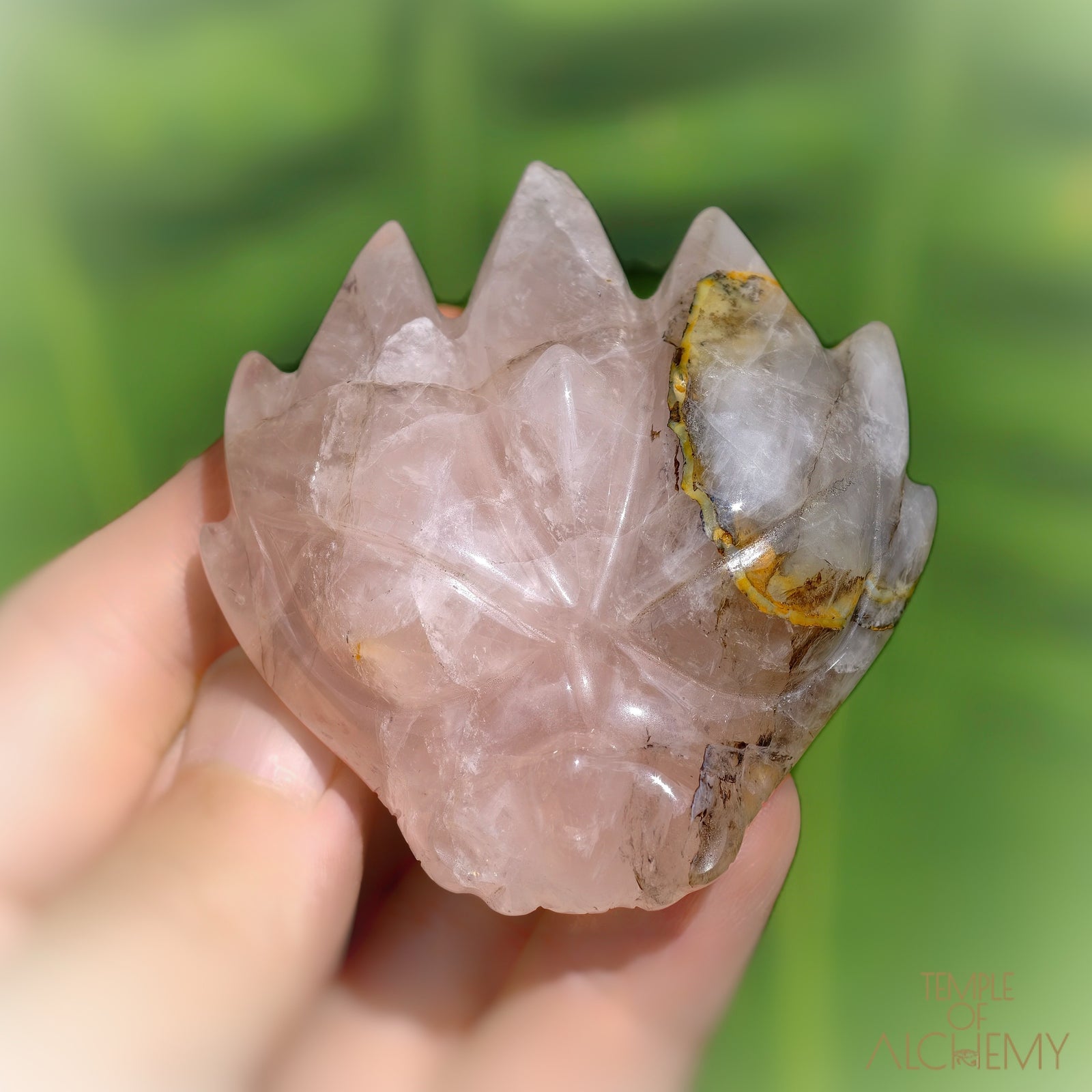 Carbon Included Rose Quartz x Golden Healer
