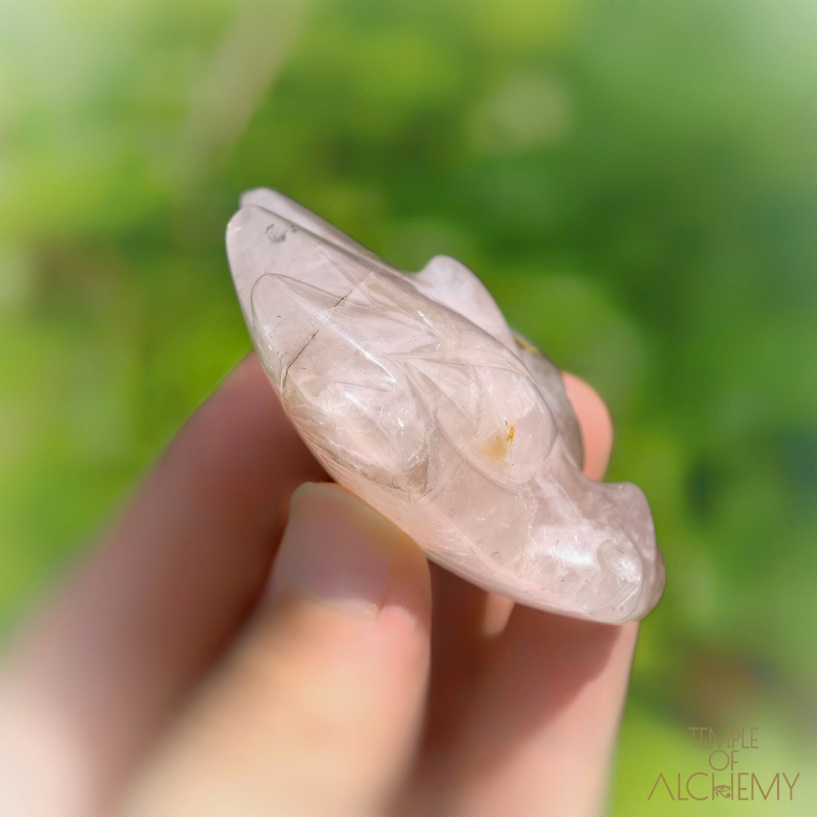 Carbon Included Rose Quartz x Golden Healer