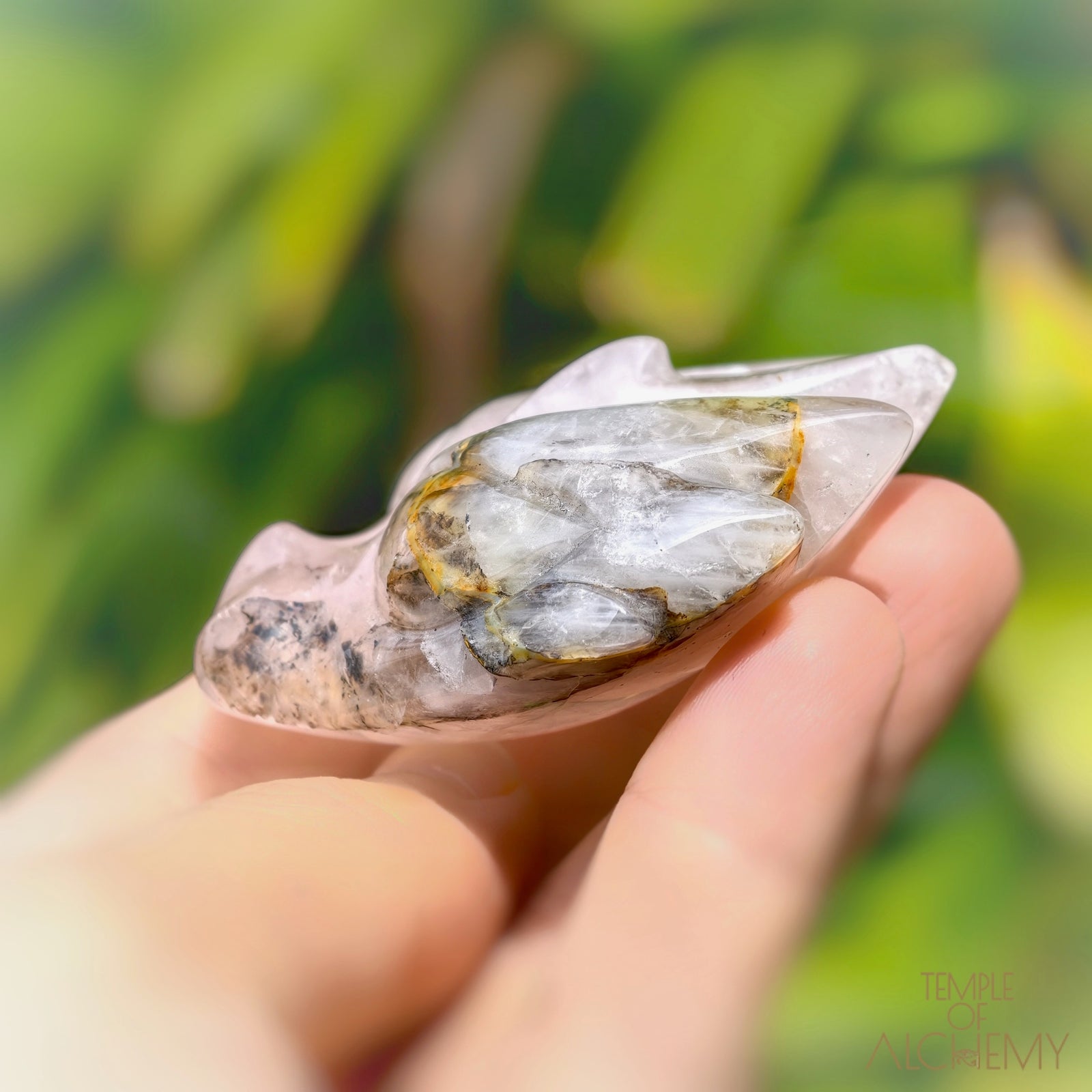 Carbon Included Rose Quartz x Golden Healer