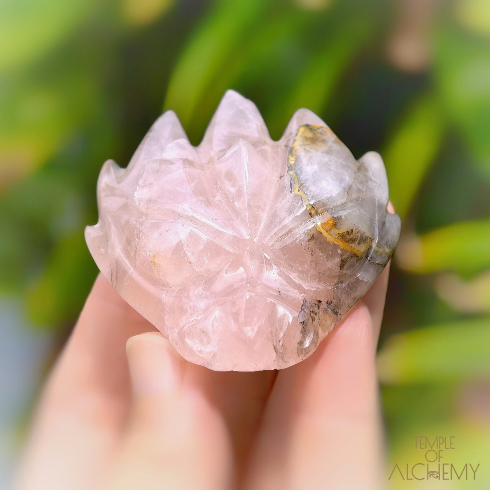 Carbon Included Rose Quartz x Golden Healer