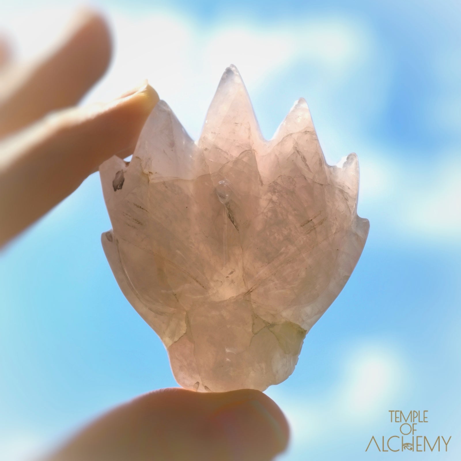 Rose Quartz x Golden Healer