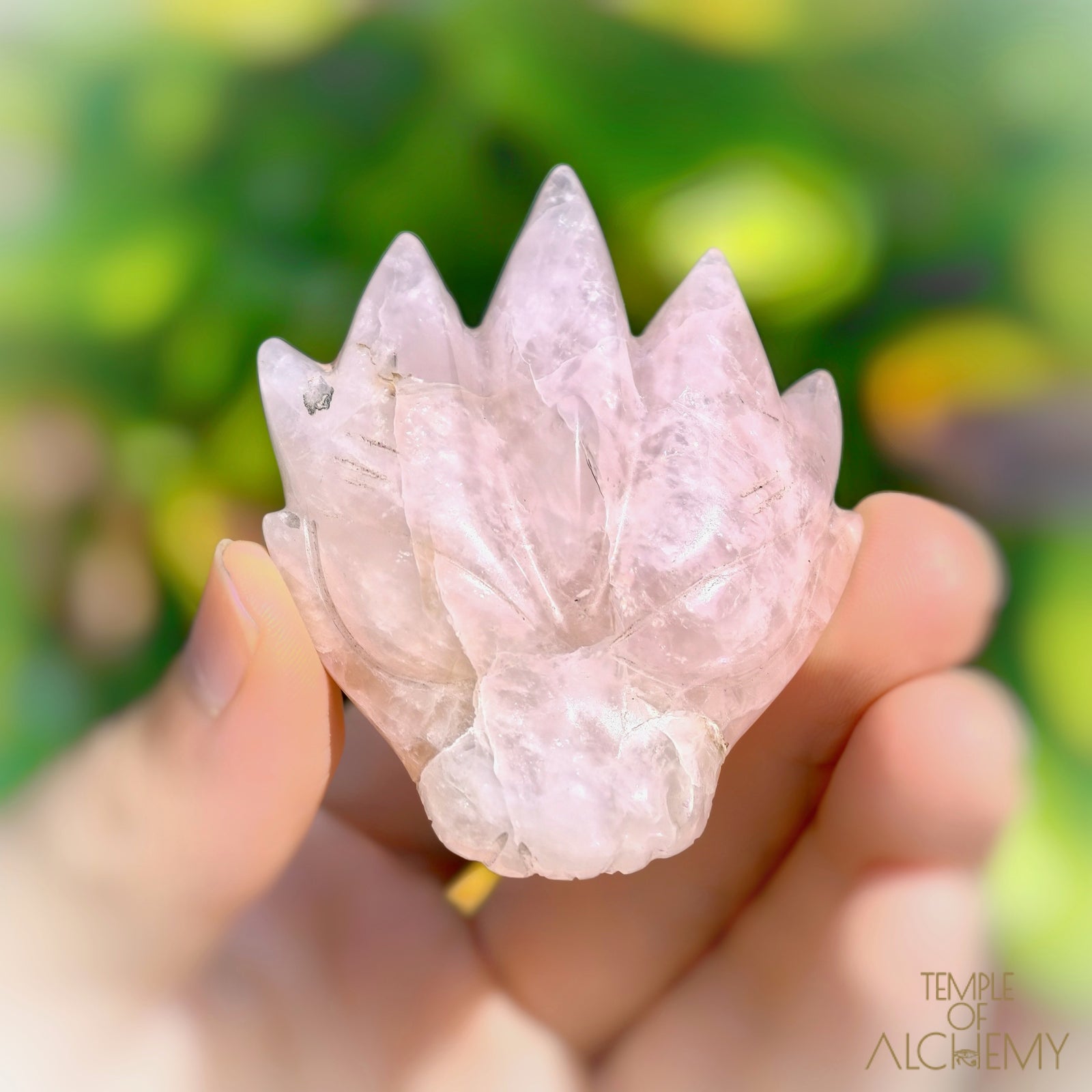 Rose Quartz x Golden Healer