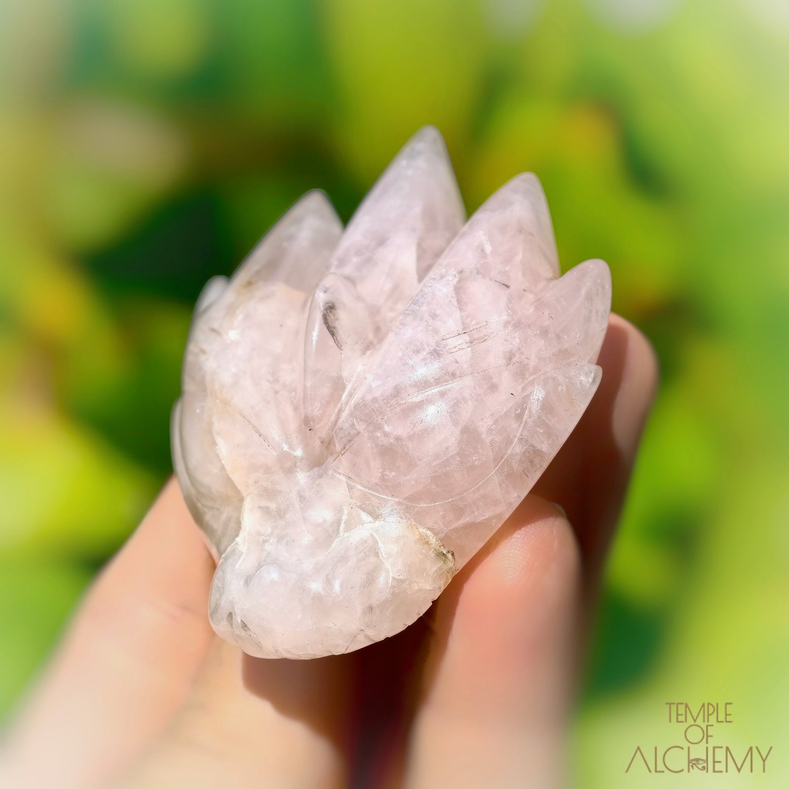 Rose Quartz x Golden Healer