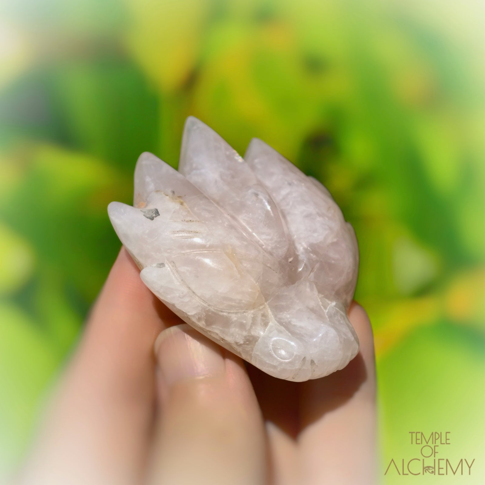 Rose Quartz x Golden Healer