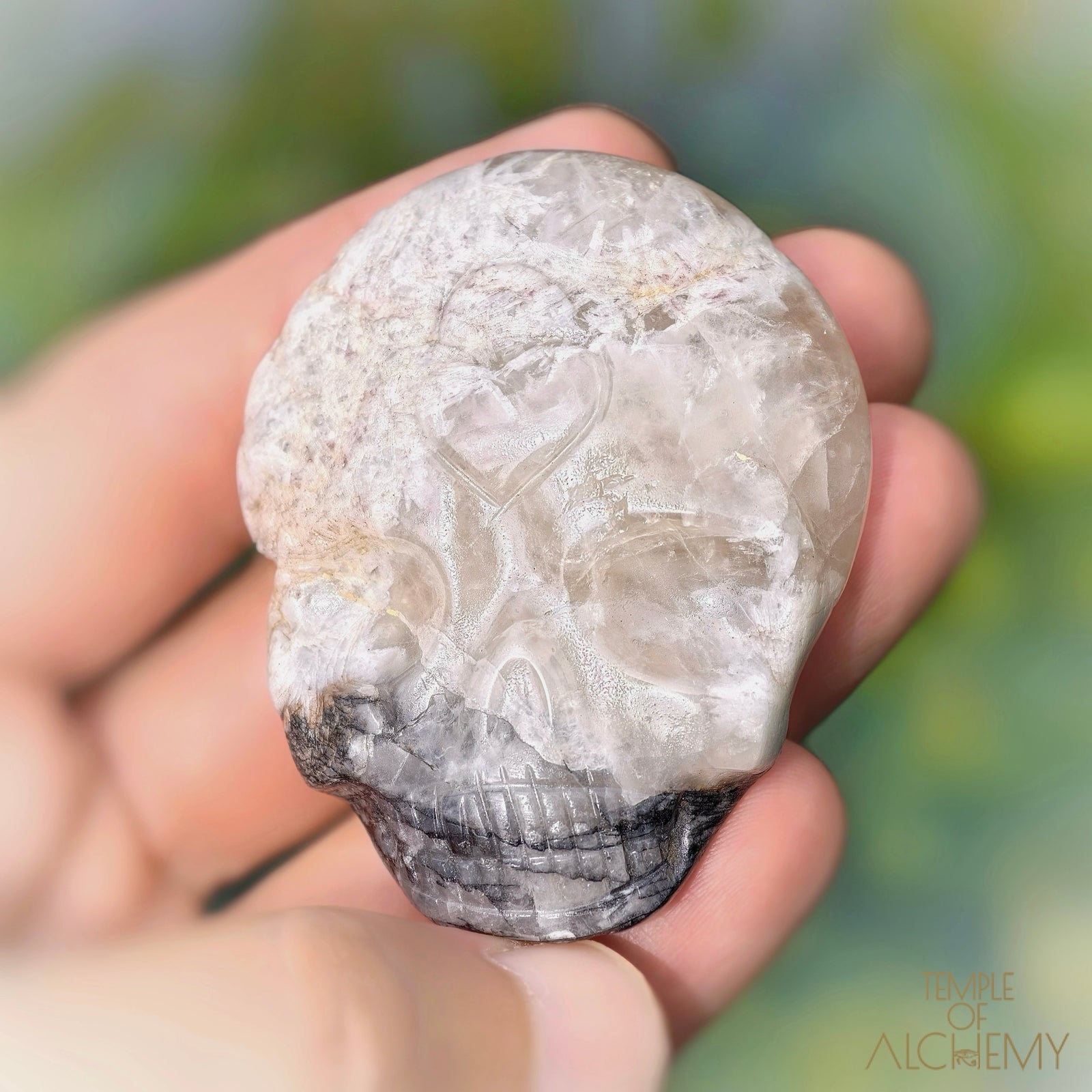 Lodolite x Columbite in Clear Quartz