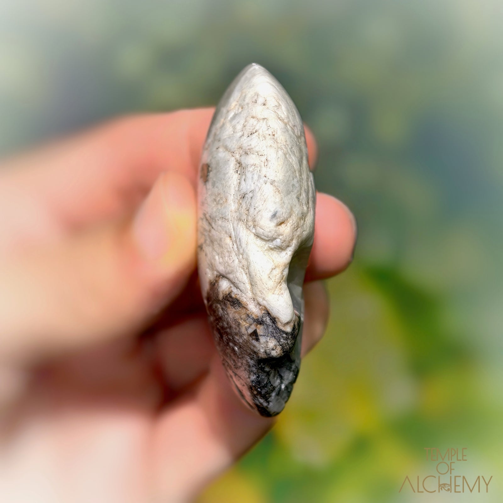 Lodolite x Columbite in Clear Quartz